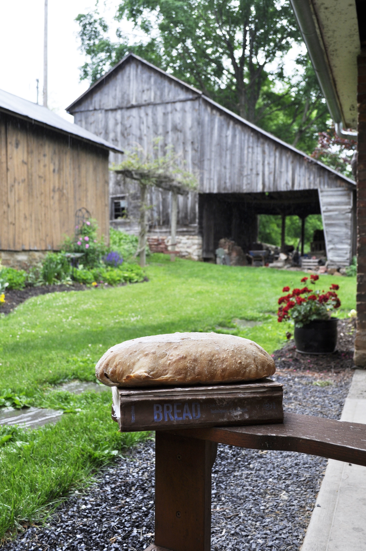A picture worthy of gratitude: a borrowed book, a shed full of oven-firing wood, and a dear friend on the other side of the camera with an eye for beauty and marketing.