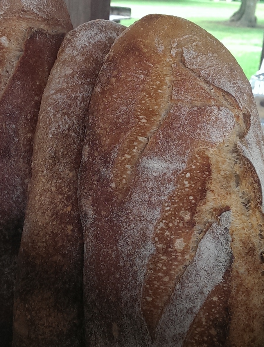 A beautiful crust! This disheartening day inspired some more research about crust and how to best steam a wood-fired hearth oven. (Steam is what creates the dark, shiny crust and microbubbles pictured here.) The research led to some necessary and refining tweaks in my baking and steaming process!