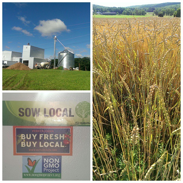 The perfect day for a drive to pick up grain at #smallvalleymilling! #buyfreshbuylocal #localfood #localgrown
