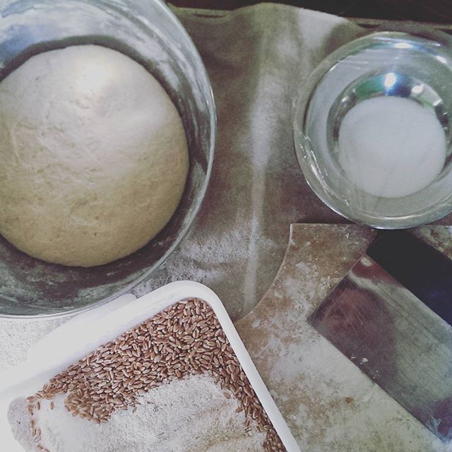 Looking forward to talking with #juniatacollege students tonight about how I as a baker have the joy of unlocking the potential of God's creation and how the process of working the gifts of nature into delicious bread give us glimpses of God's love and plan #forthelifeoftheworld! #FLOW #cco #jubilee2016