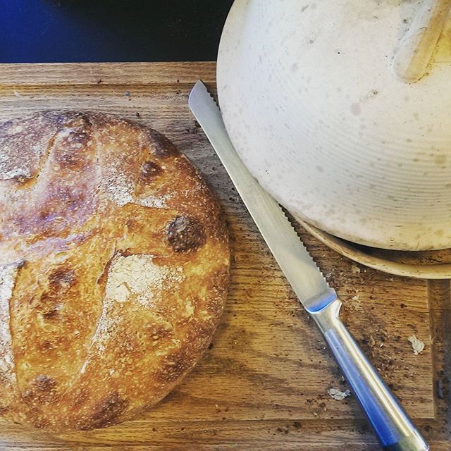 Tweaking my home baking skills in #vermont using a stone bread cloche in a conventional electric oven at #newpeasantfarm. I'm currently between business locations, but still baking 2-3 times a week! #bakerlife #homebaking #vermontbakers #sourdough