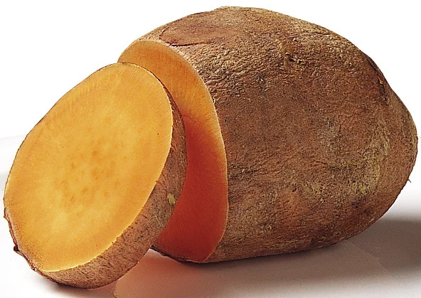  NCI5_POTATO 