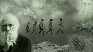 darwin.jpg