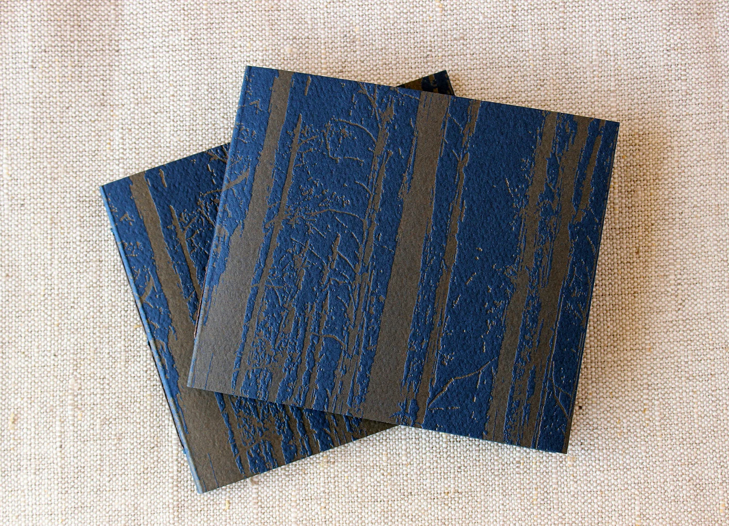 little blue notebooks