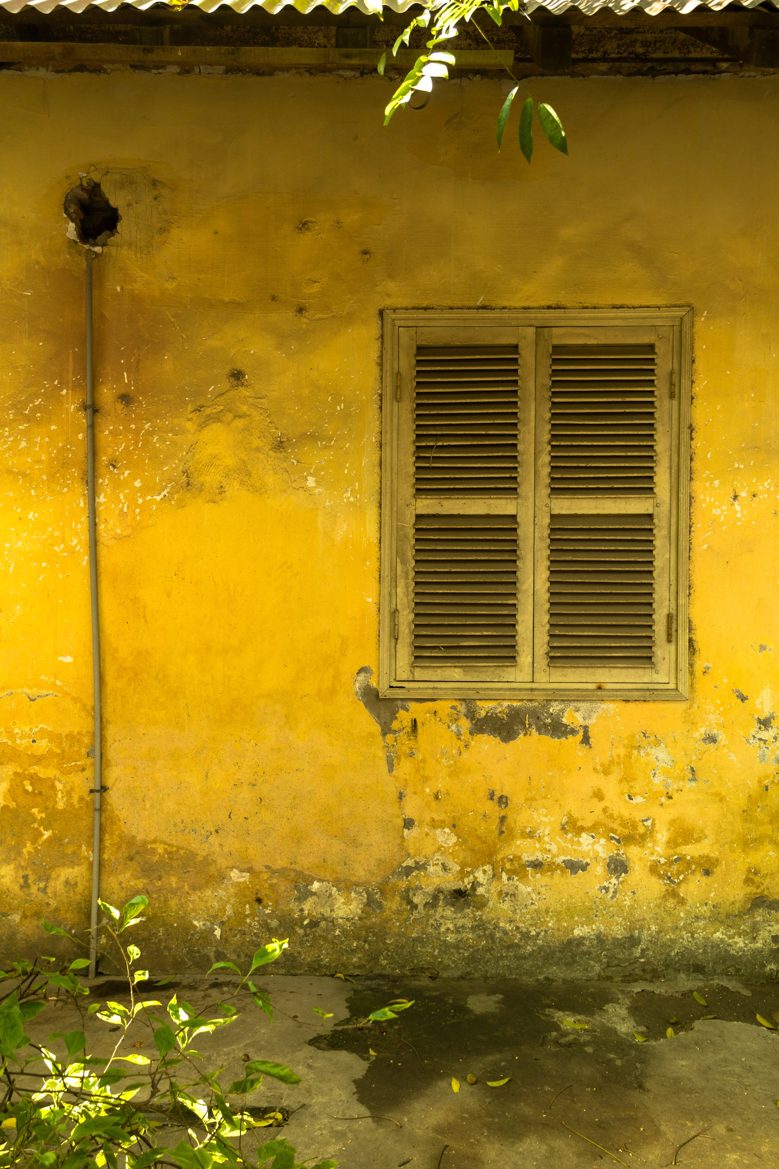 Yellow-wall-in-South-East-Asia.jpg