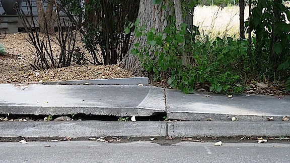 figure_48_tree_damage_concrete.jpg