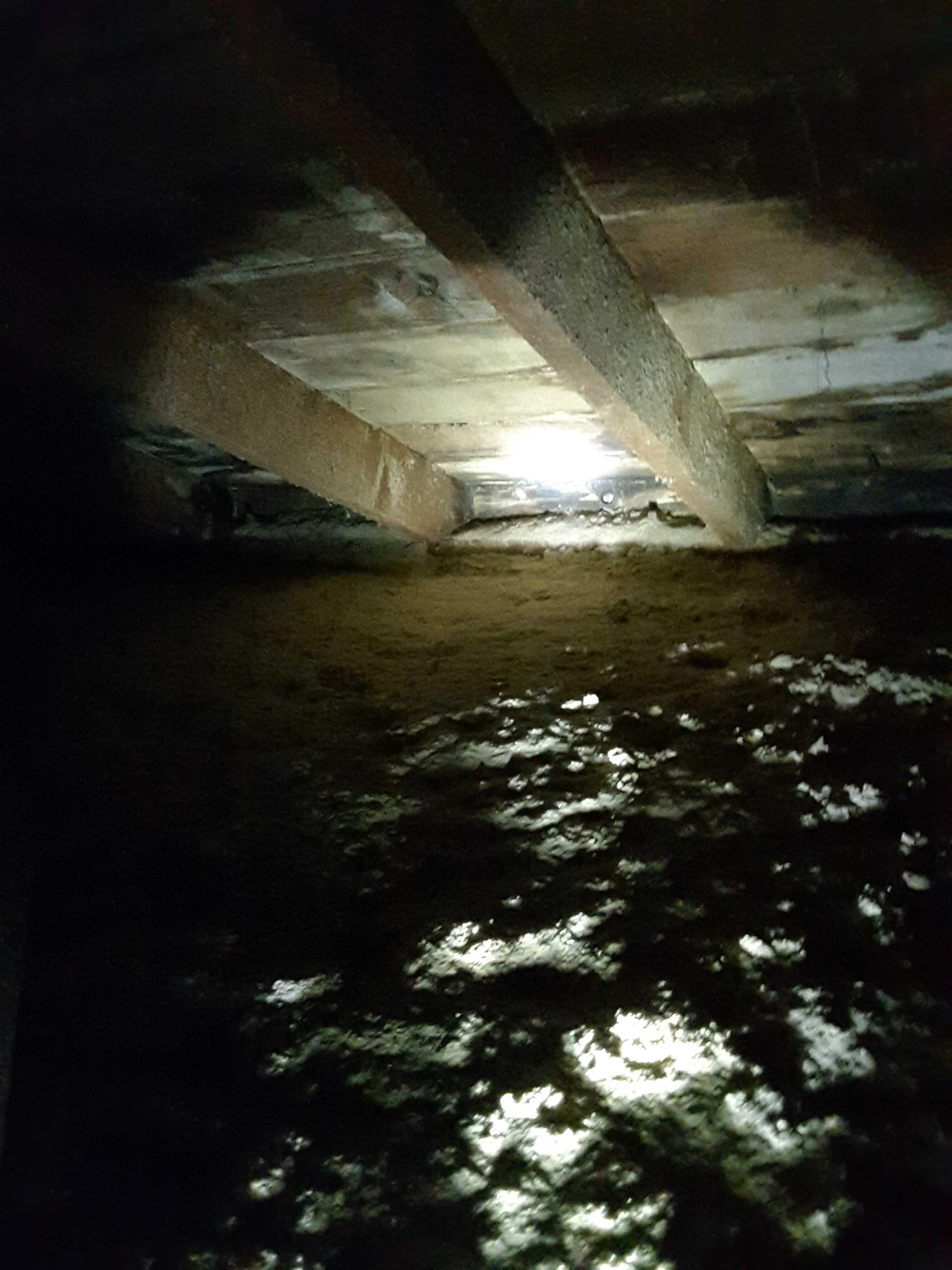 Attic, roof system