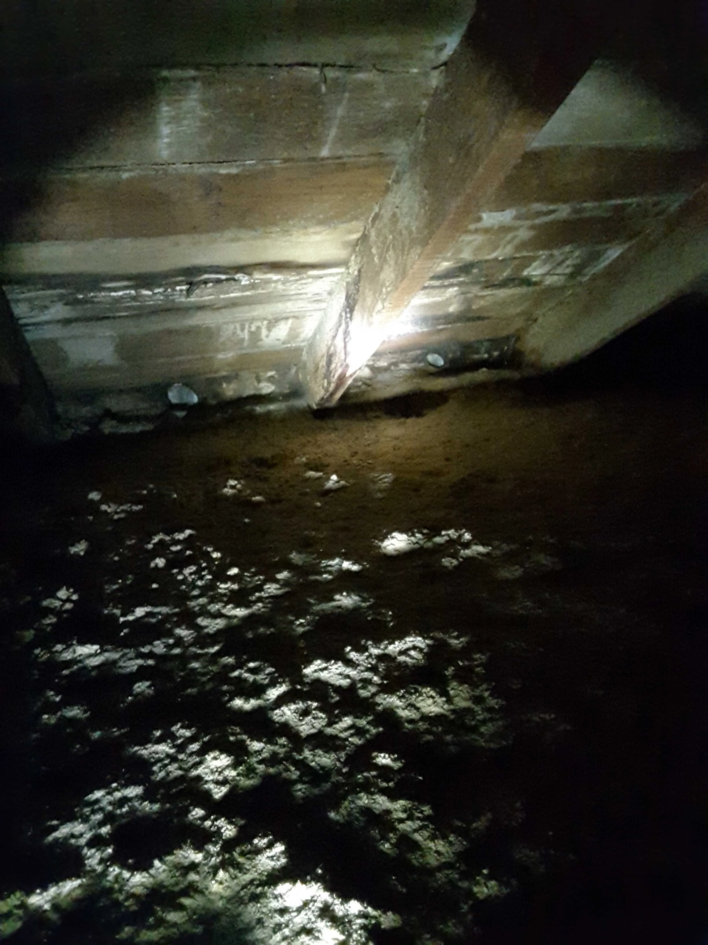 Dry rot at the eve of roofing inside of attic.