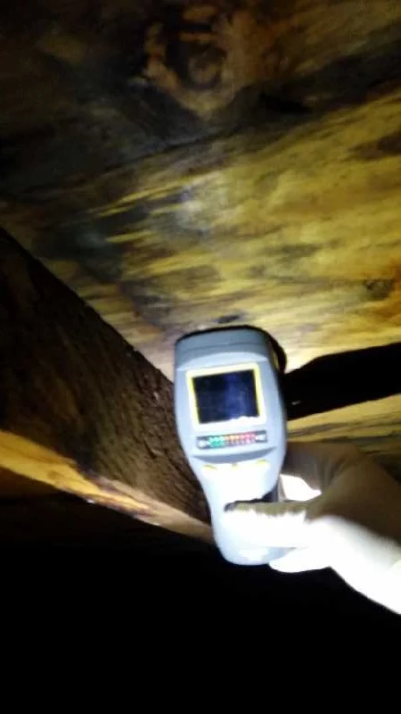 Attic Sheeting