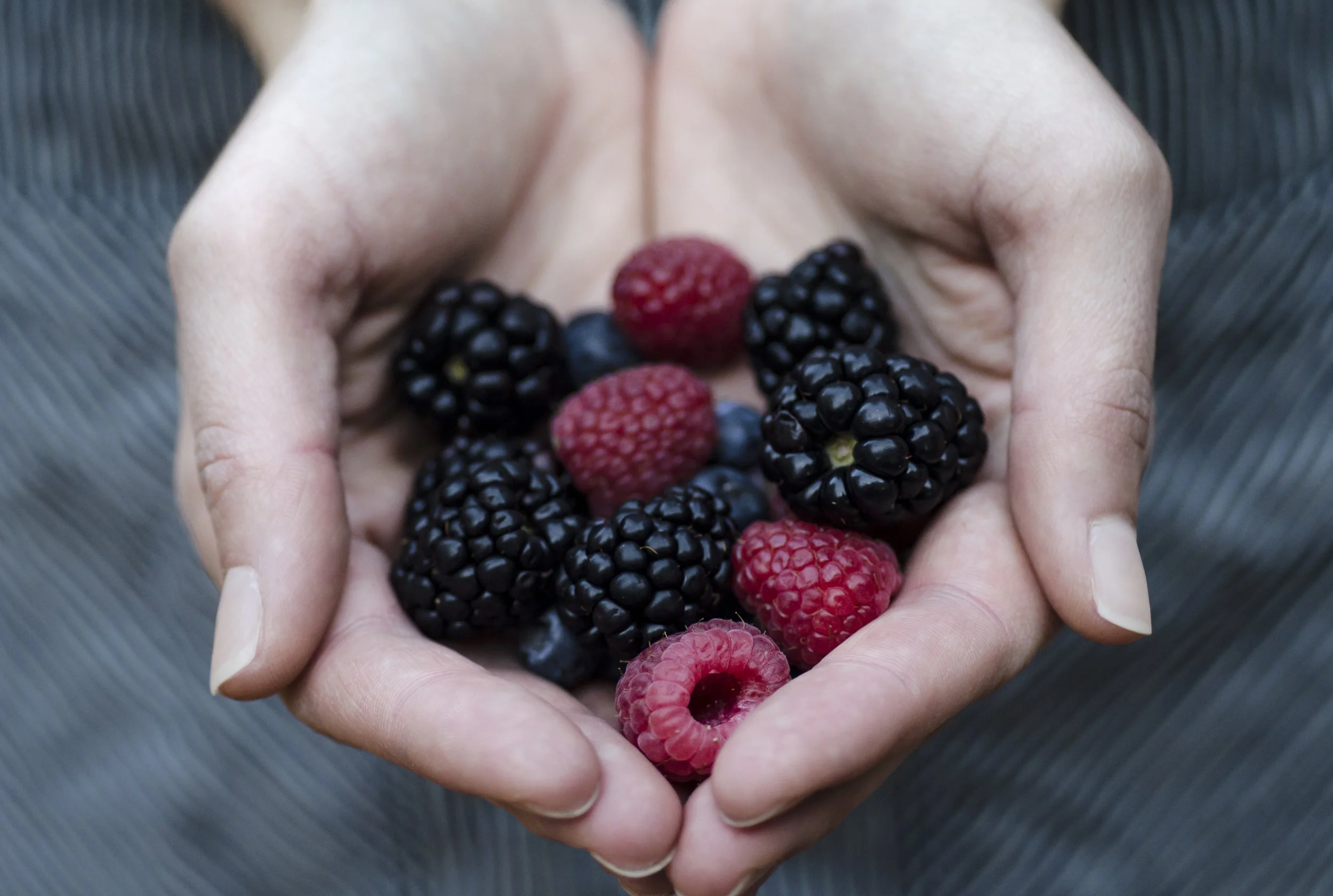 ForestOnFirst_Food_100.jpg