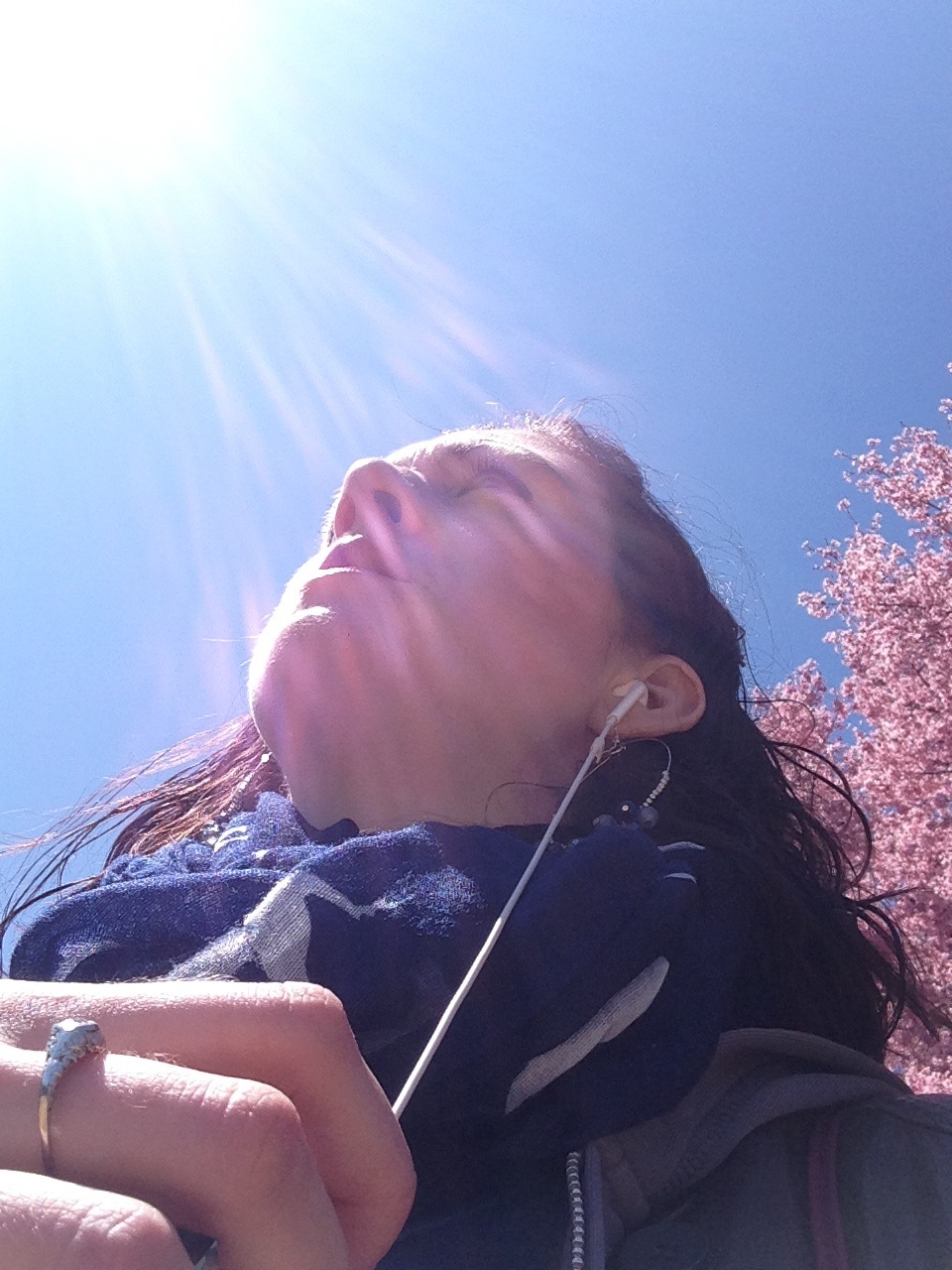 Spring!