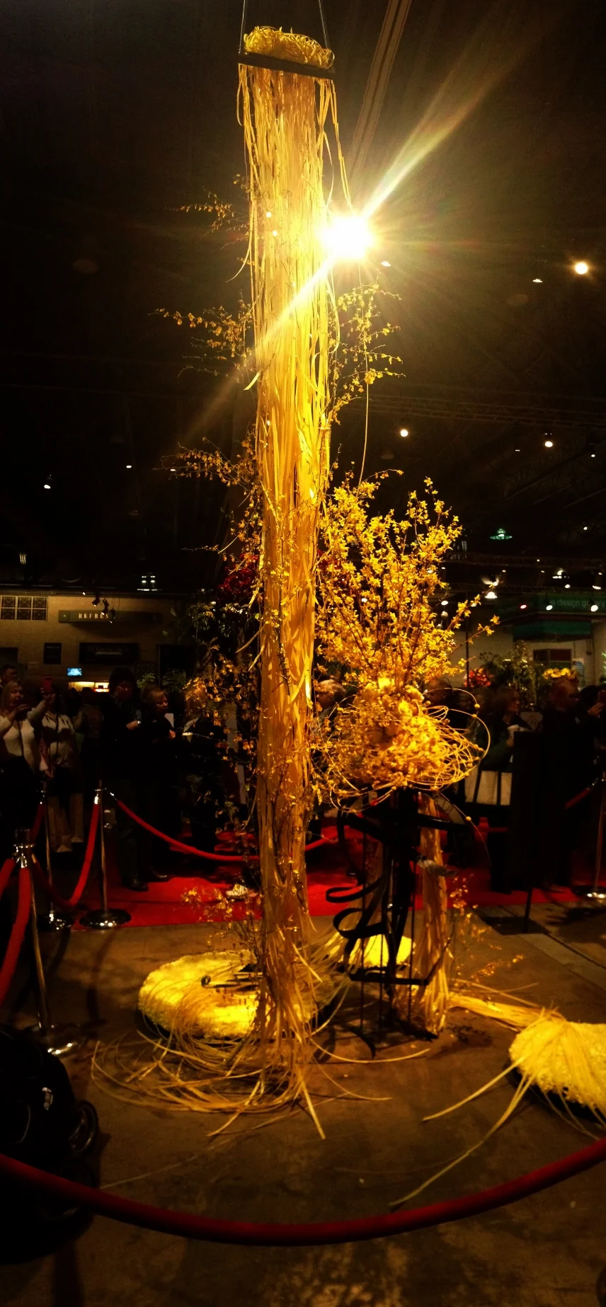 The display for Rapunzel at the Philadelphia Flower Show.