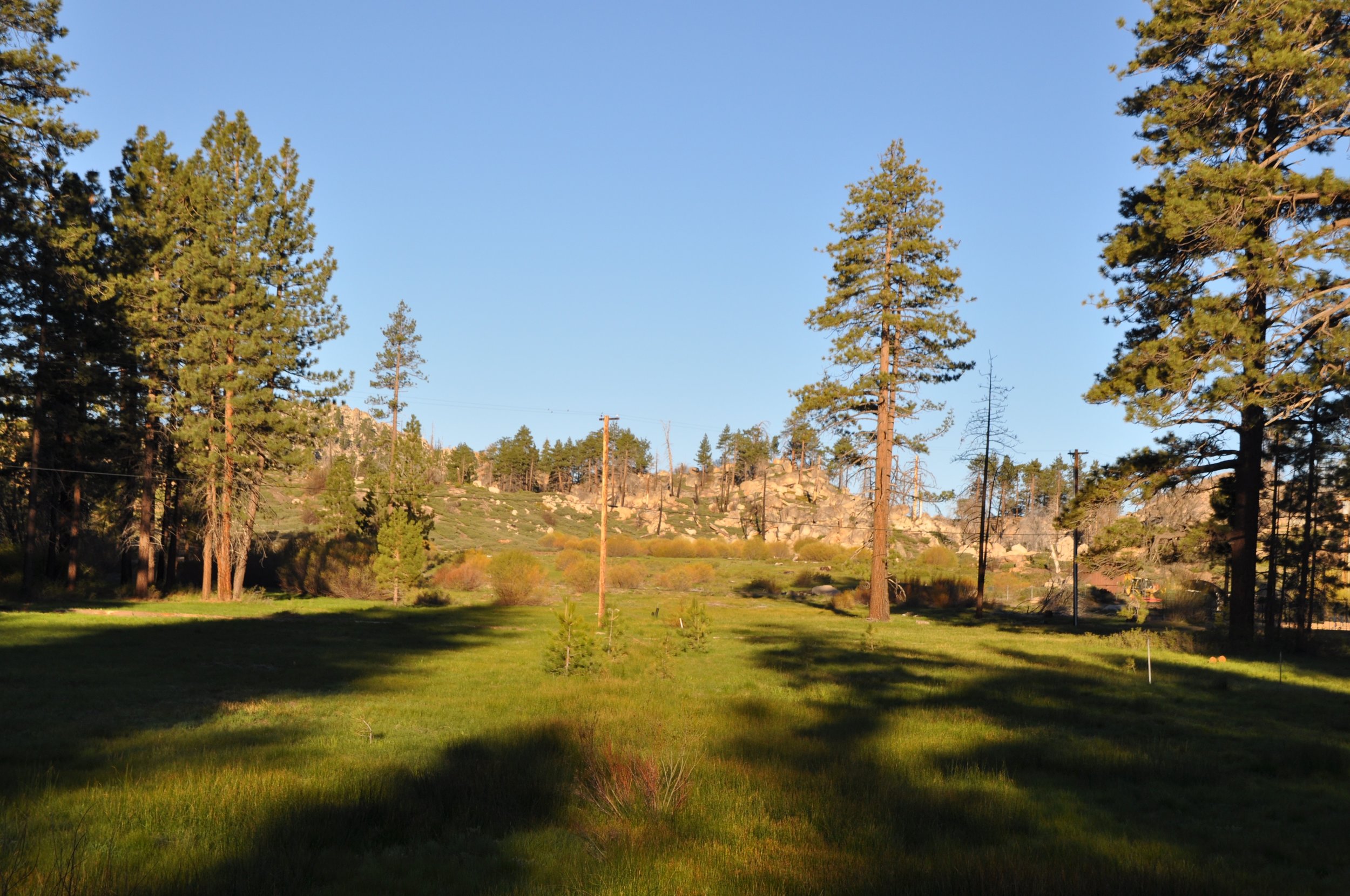 CAMP @ YMCA Camp Whittle, Big Bear