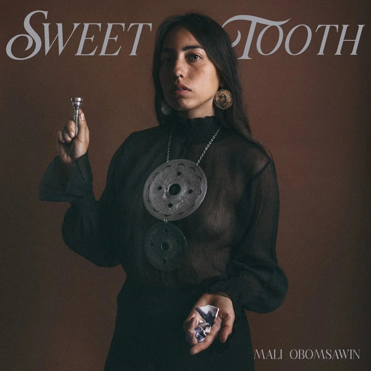 Sweet+tooth+album+cover+art.jpg