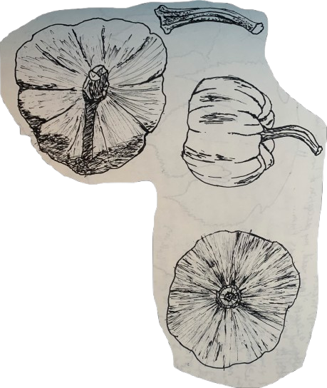 pumpkins1-removebg-preview.png