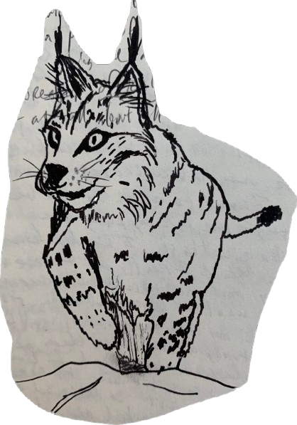lynx1-removebg-preview.png