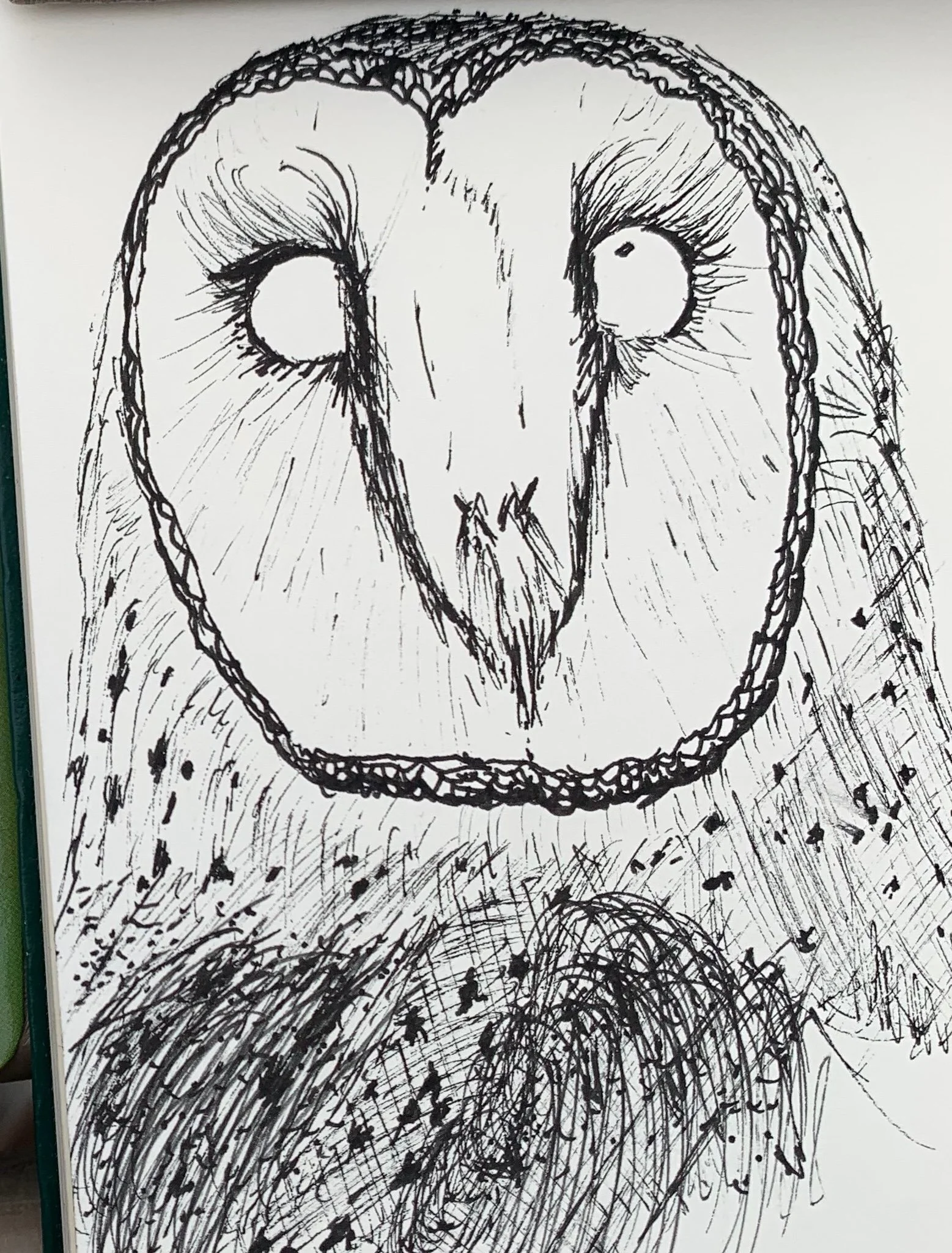 barn owl.jpeg