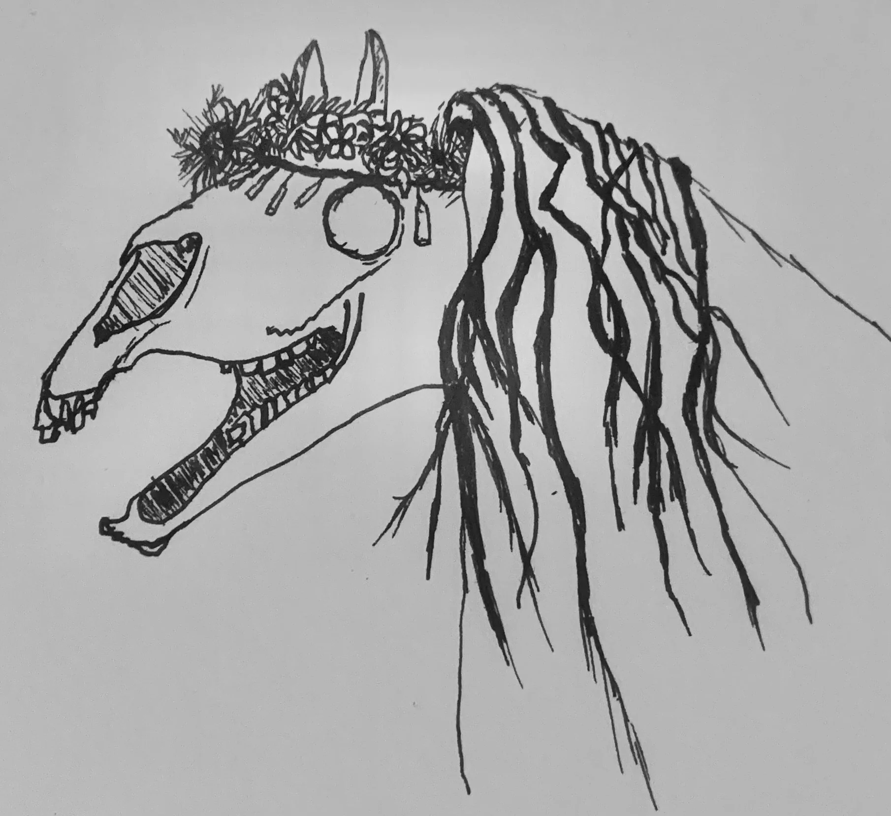 IMG_1955.jpeg