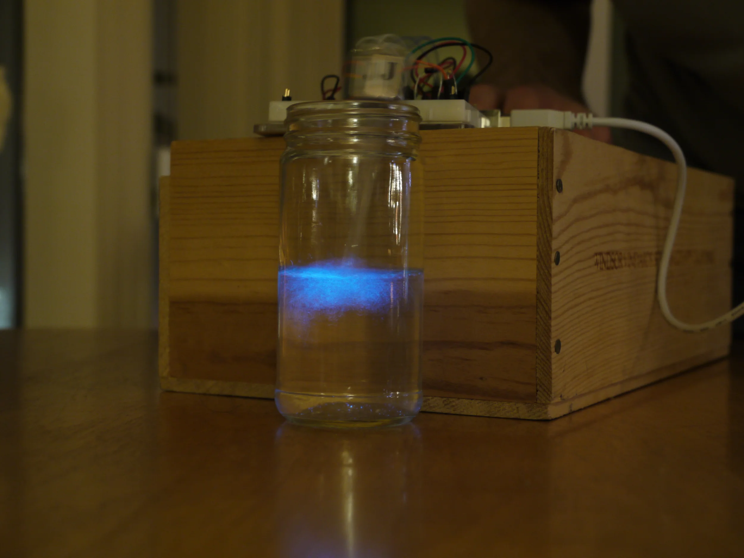 Biolesce Prototype
