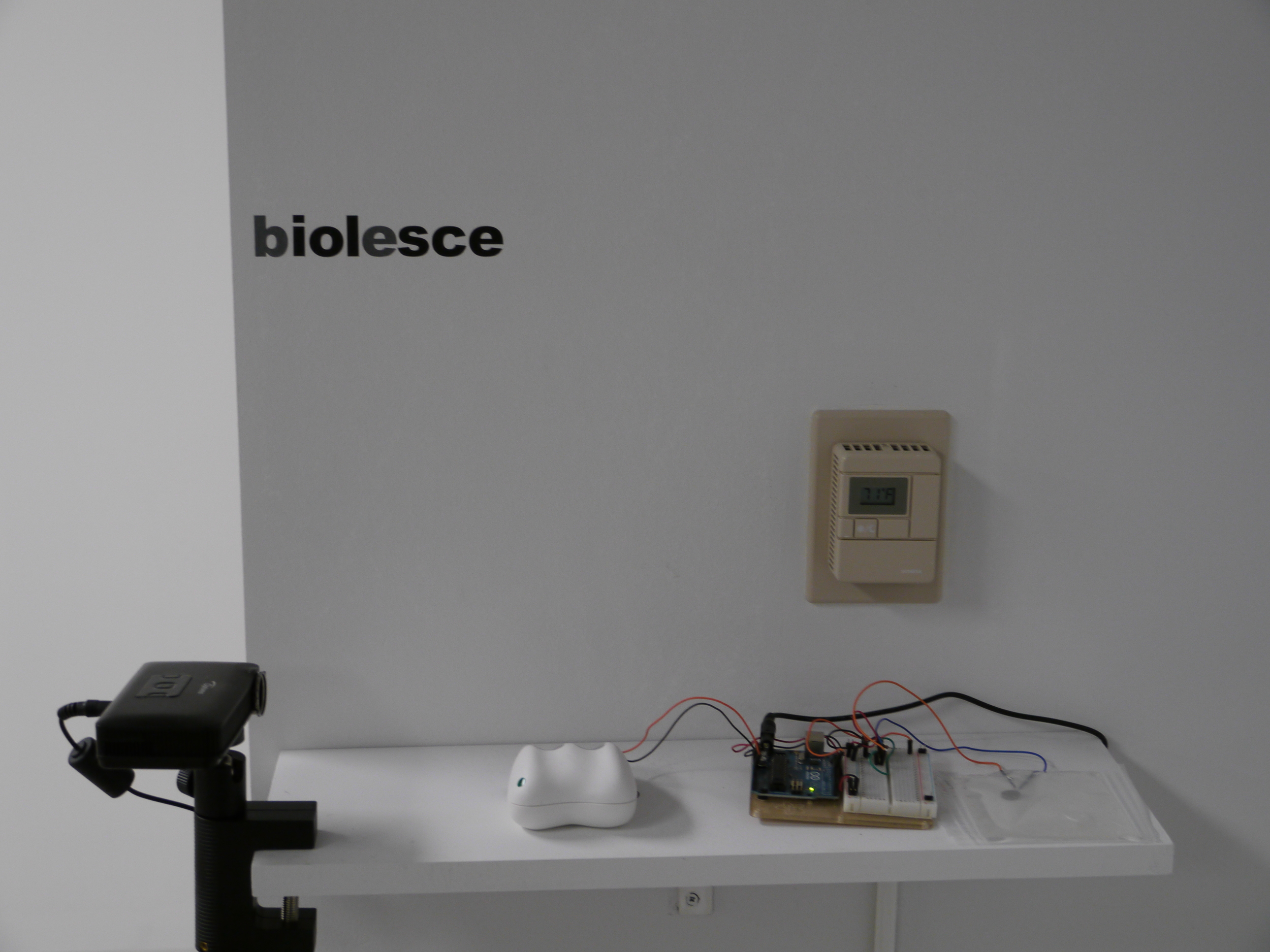 Biolesce 0.1 at UCLA