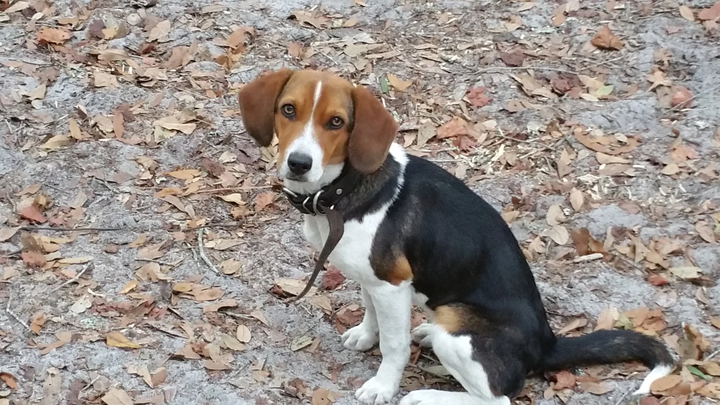 20161113_073714.jpg