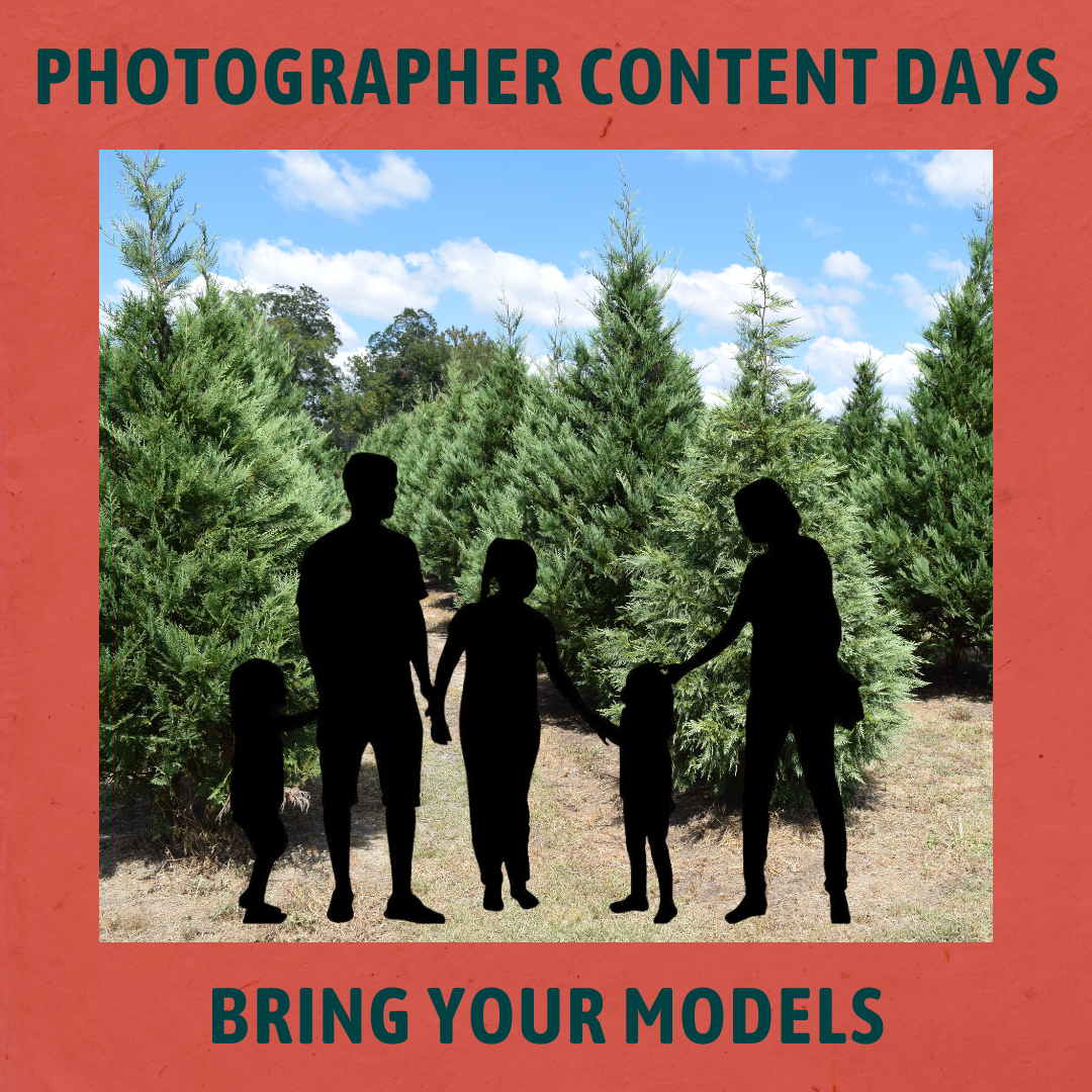 Photographer Content Day 2