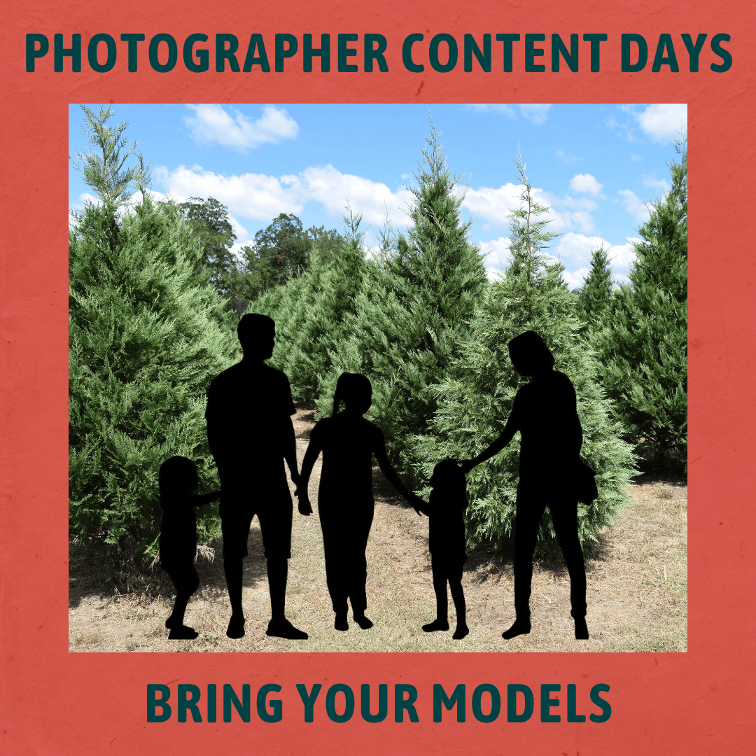 Photographer Content Day 3