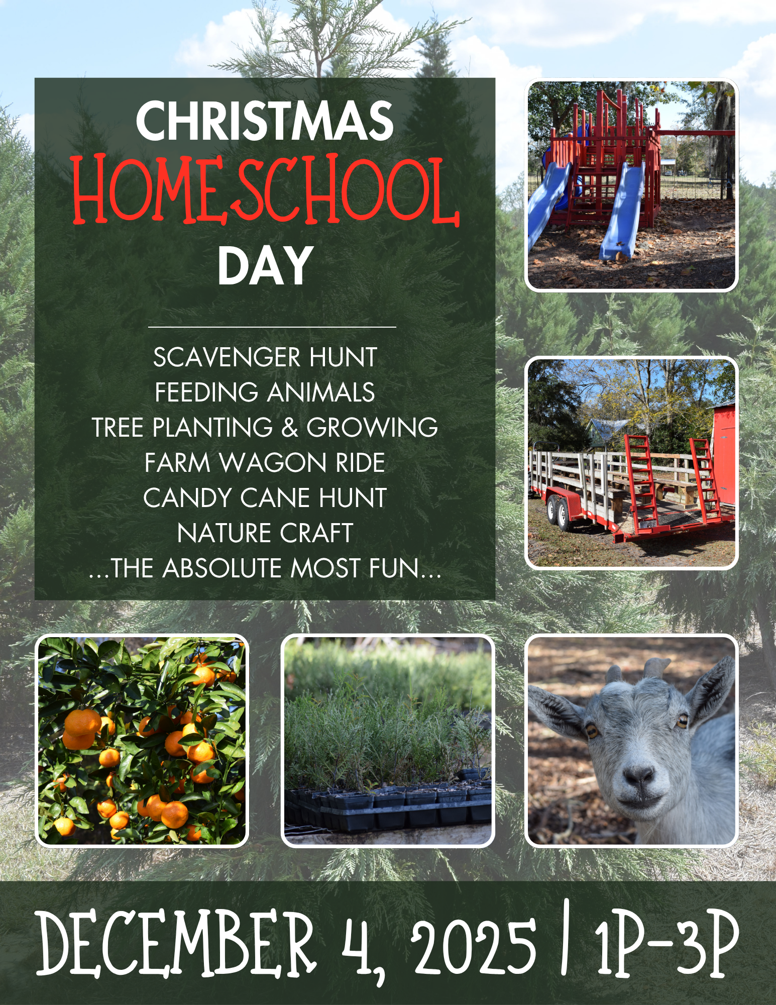 Winter Homeschool Day 2025
