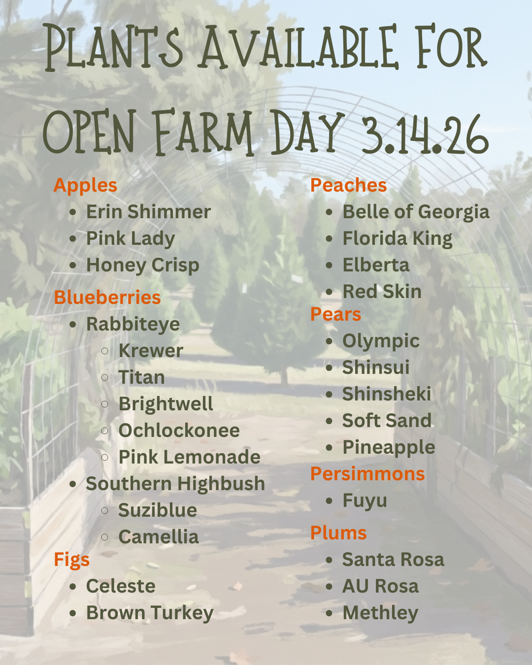 2026 Fruit Plants for Sale