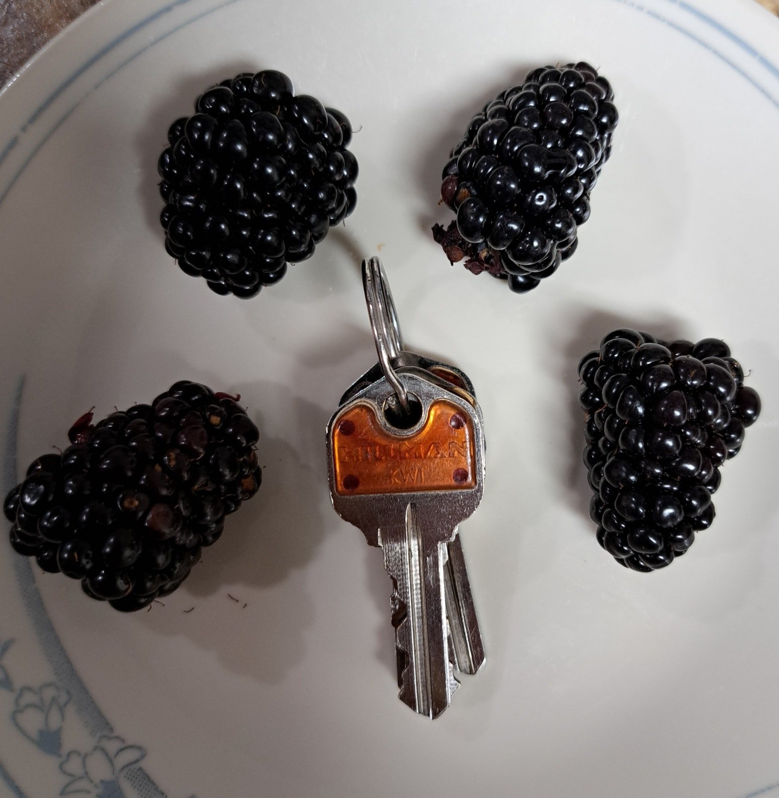 Blackberries - Farm Stand