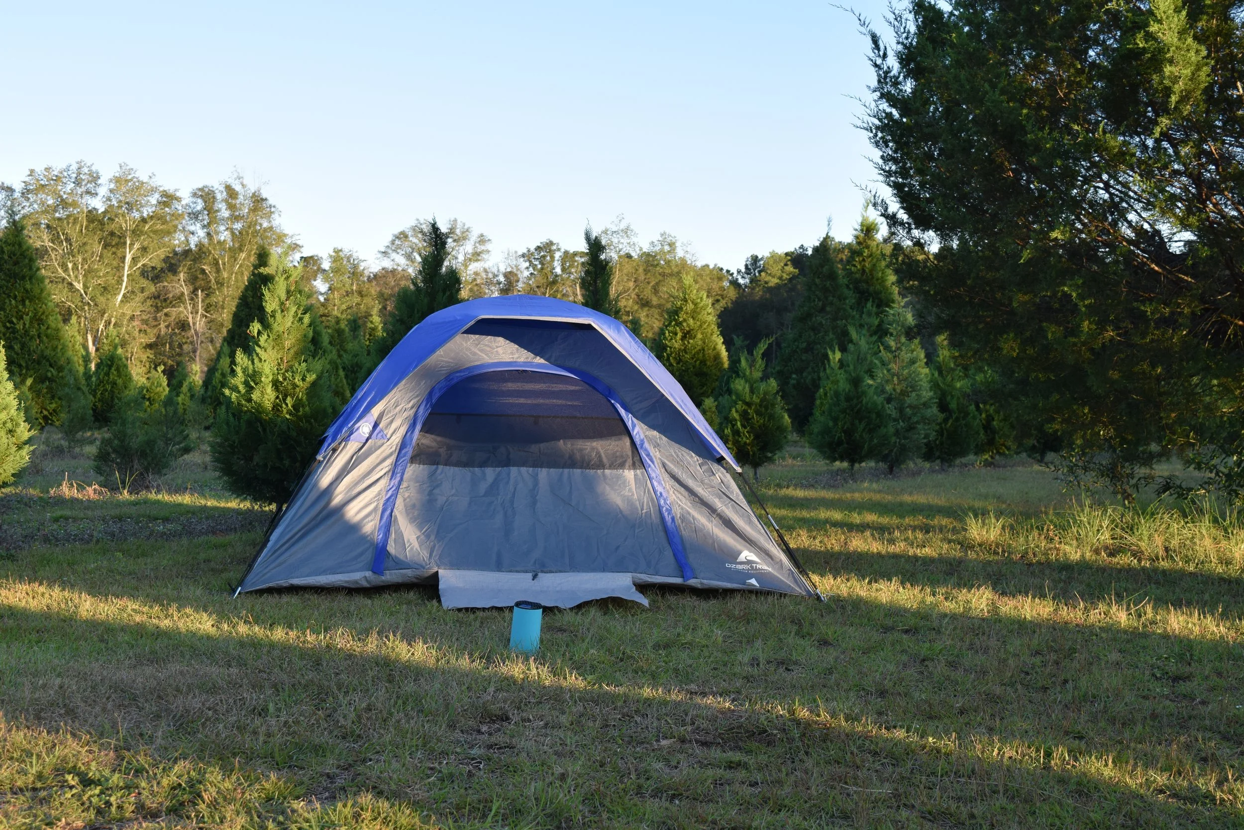 Tent Camping in the Christmas Tree Field
