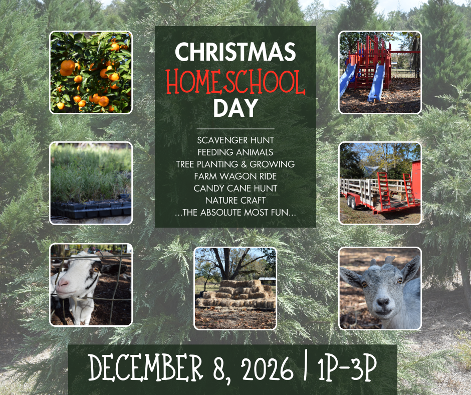 Christmas Homeschool Day (Facebook Post).png