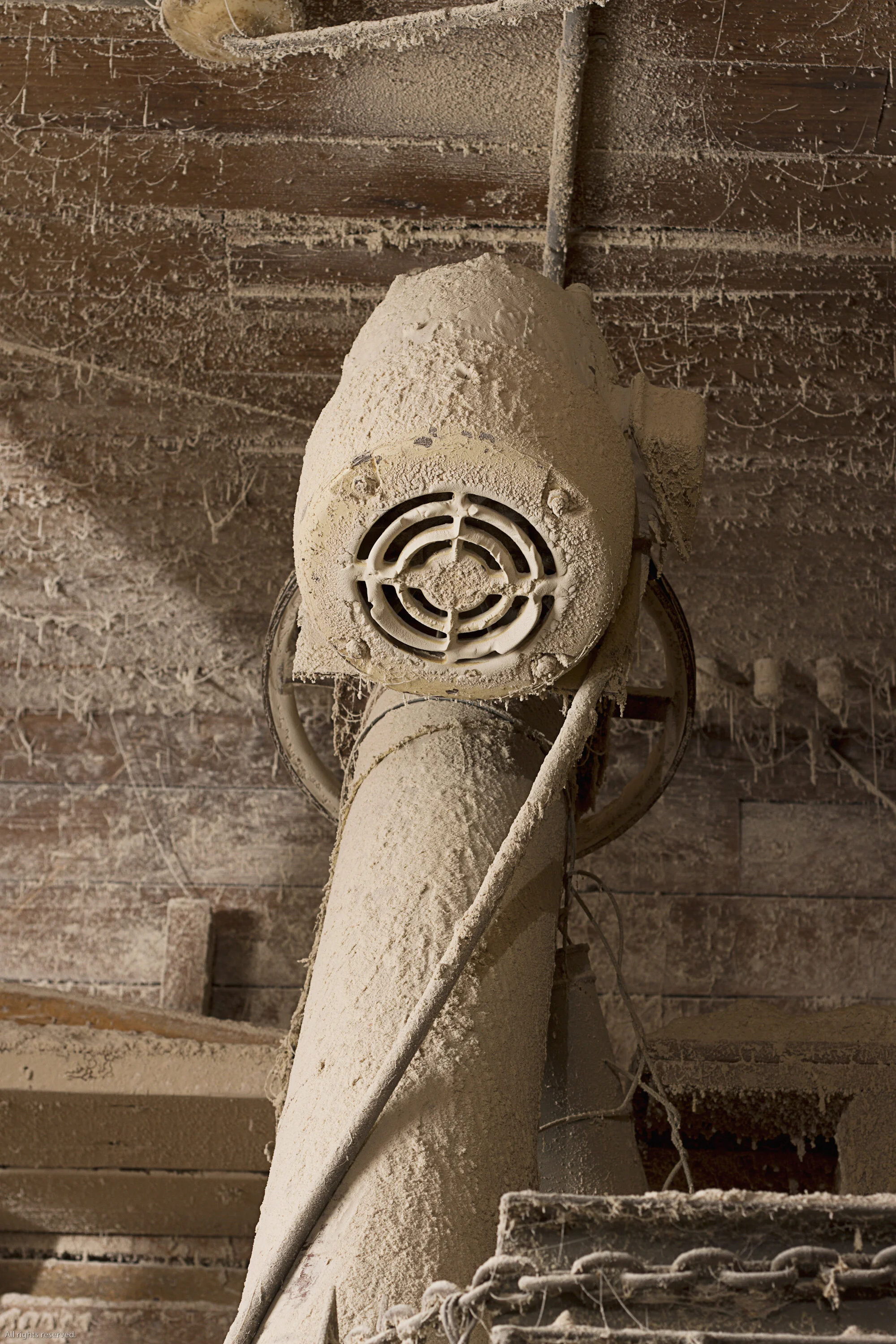 Martie's Feedmill (10 of 13).jpg