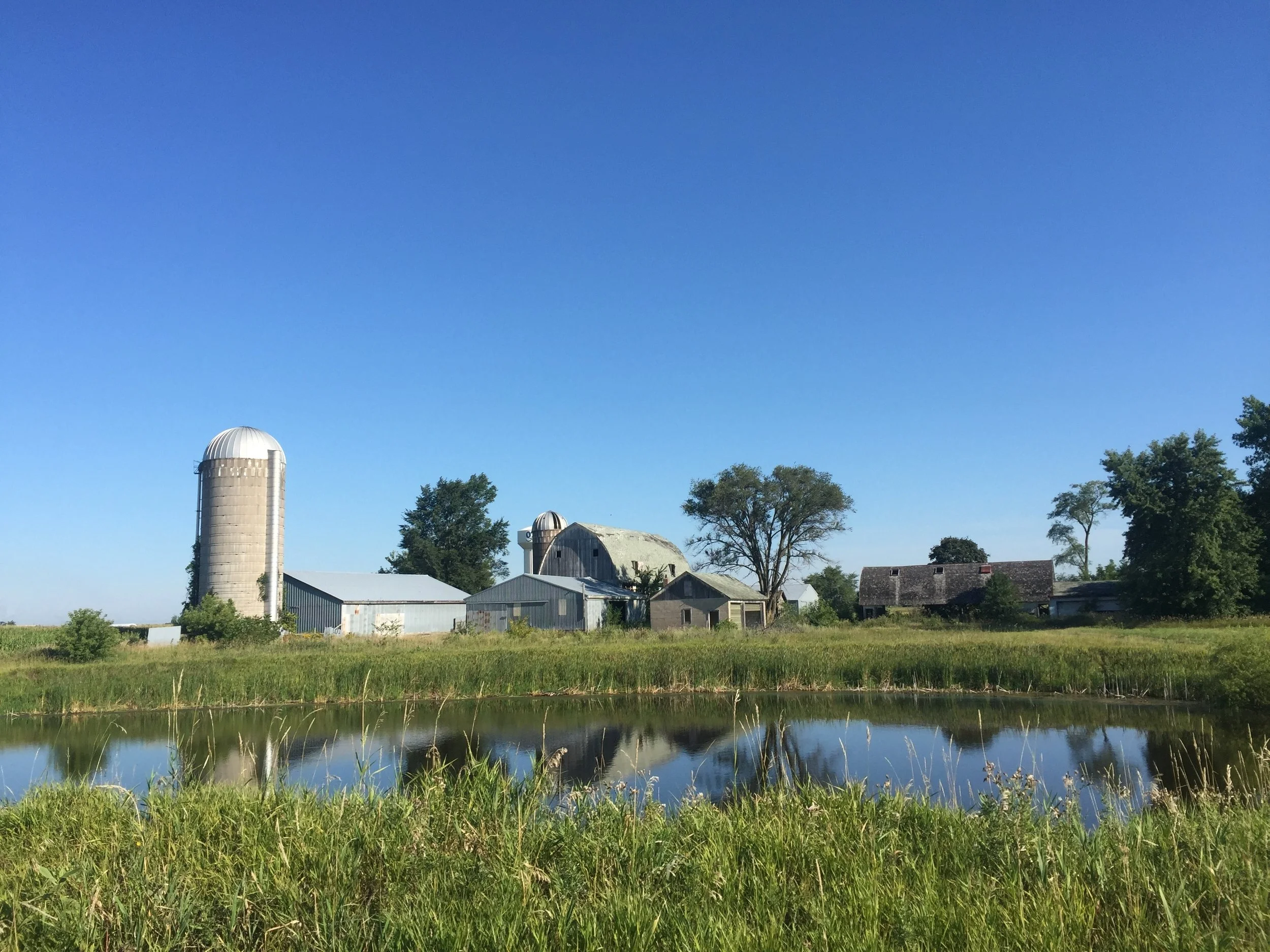 Strolling is Still Moving