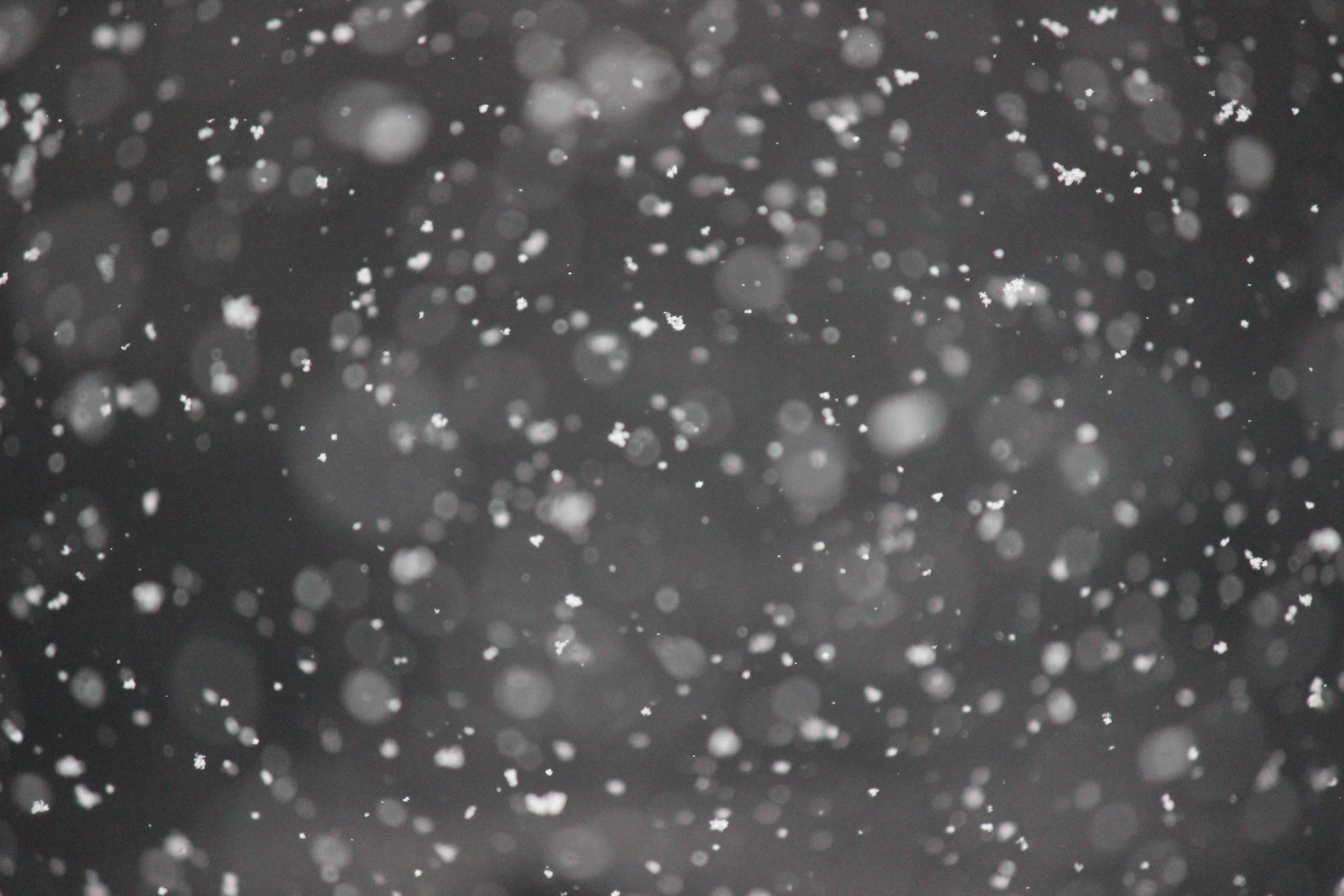 Snow Plow - 198 Days