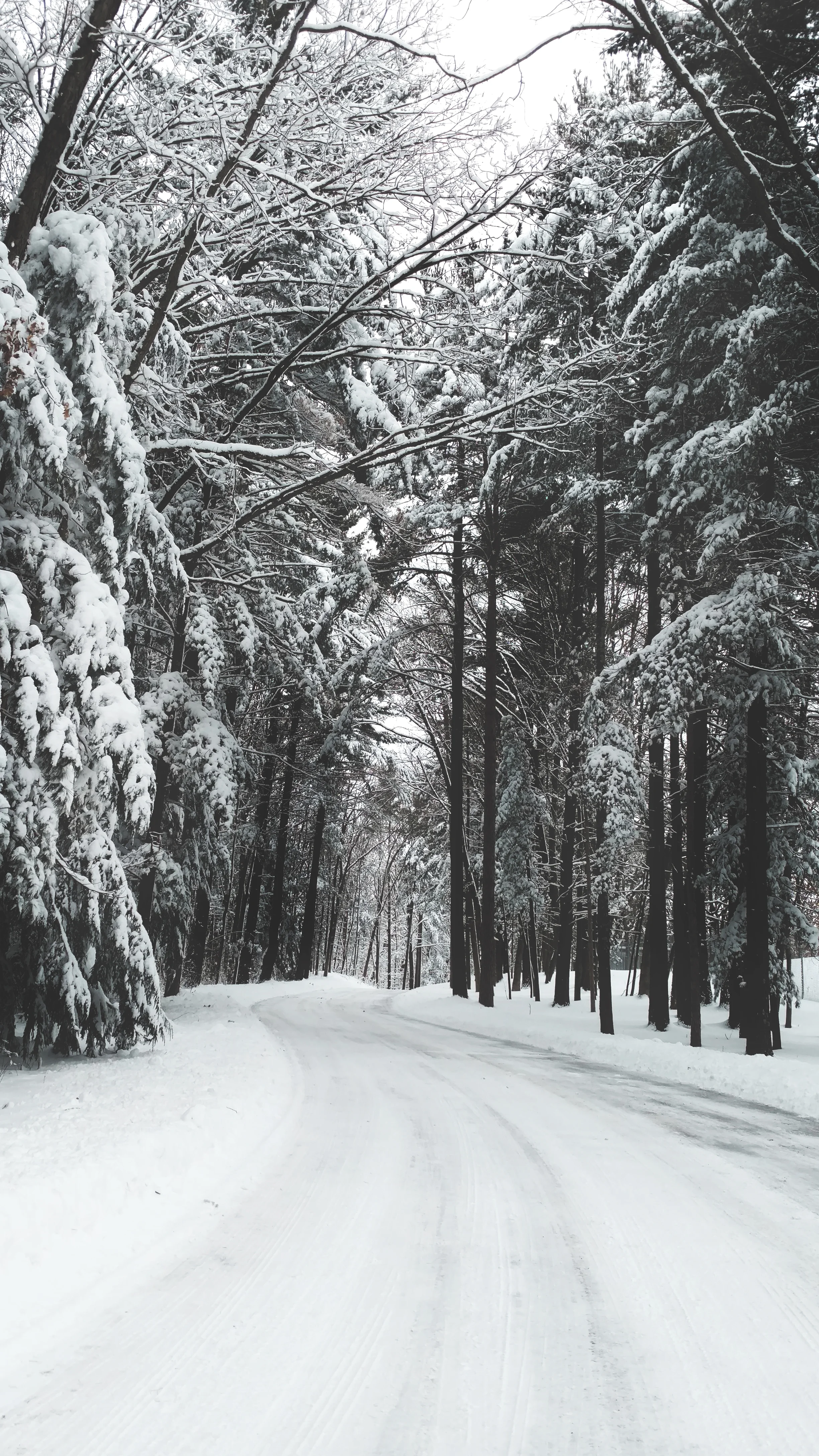 Snow Path - 200 Days