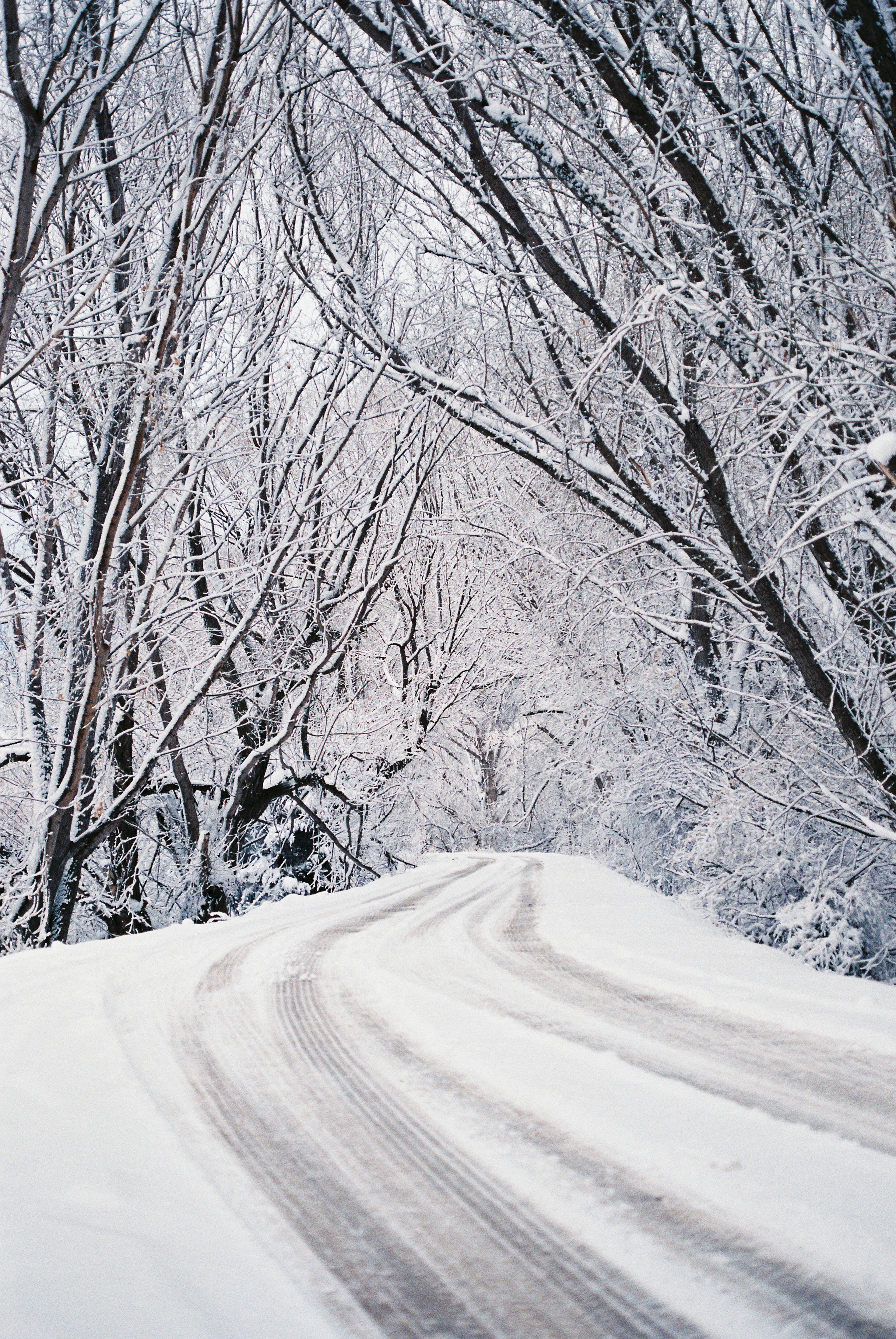 Cold Path - 201 Days
