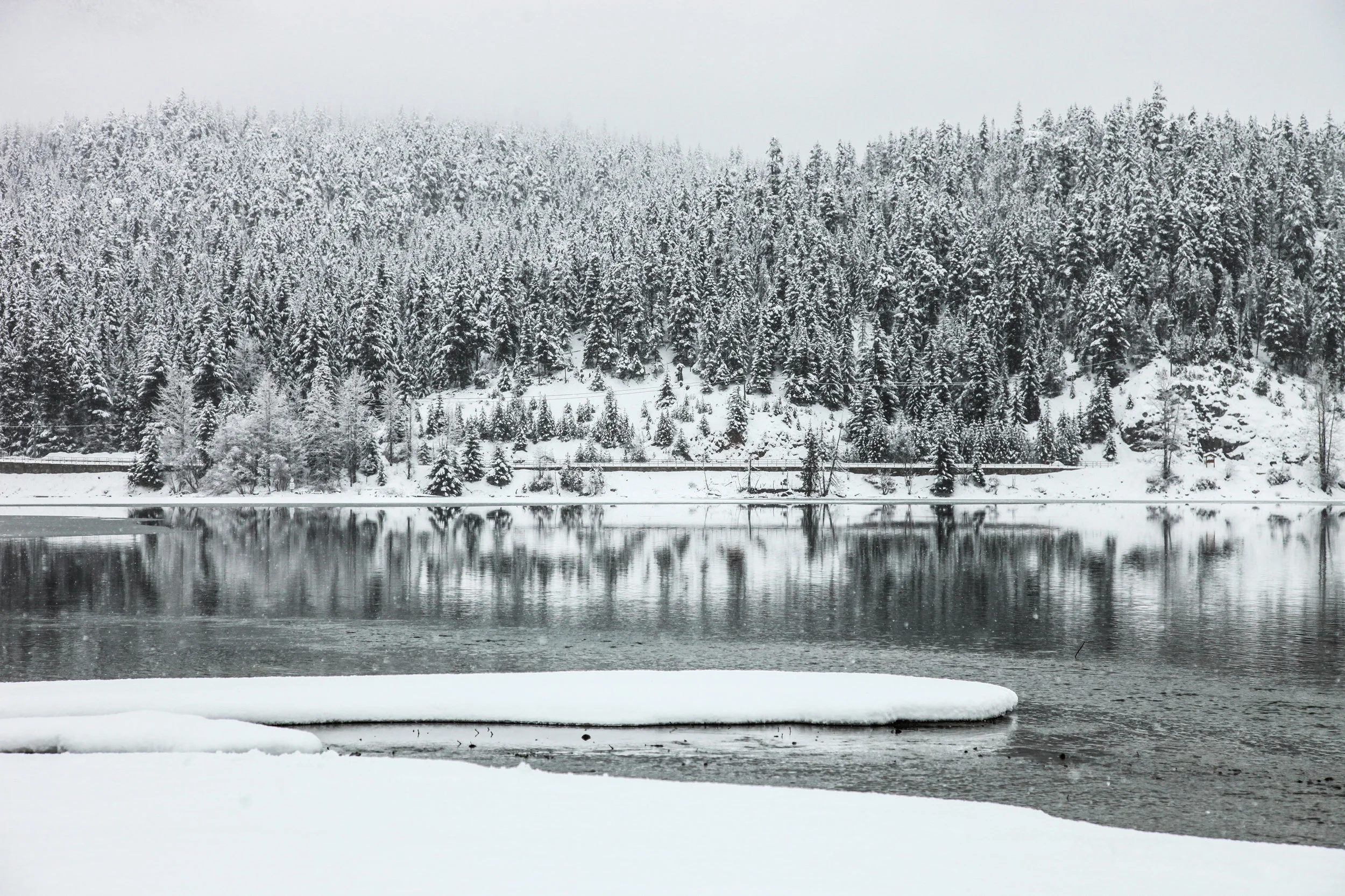 Frozen Reflections - 197 Days