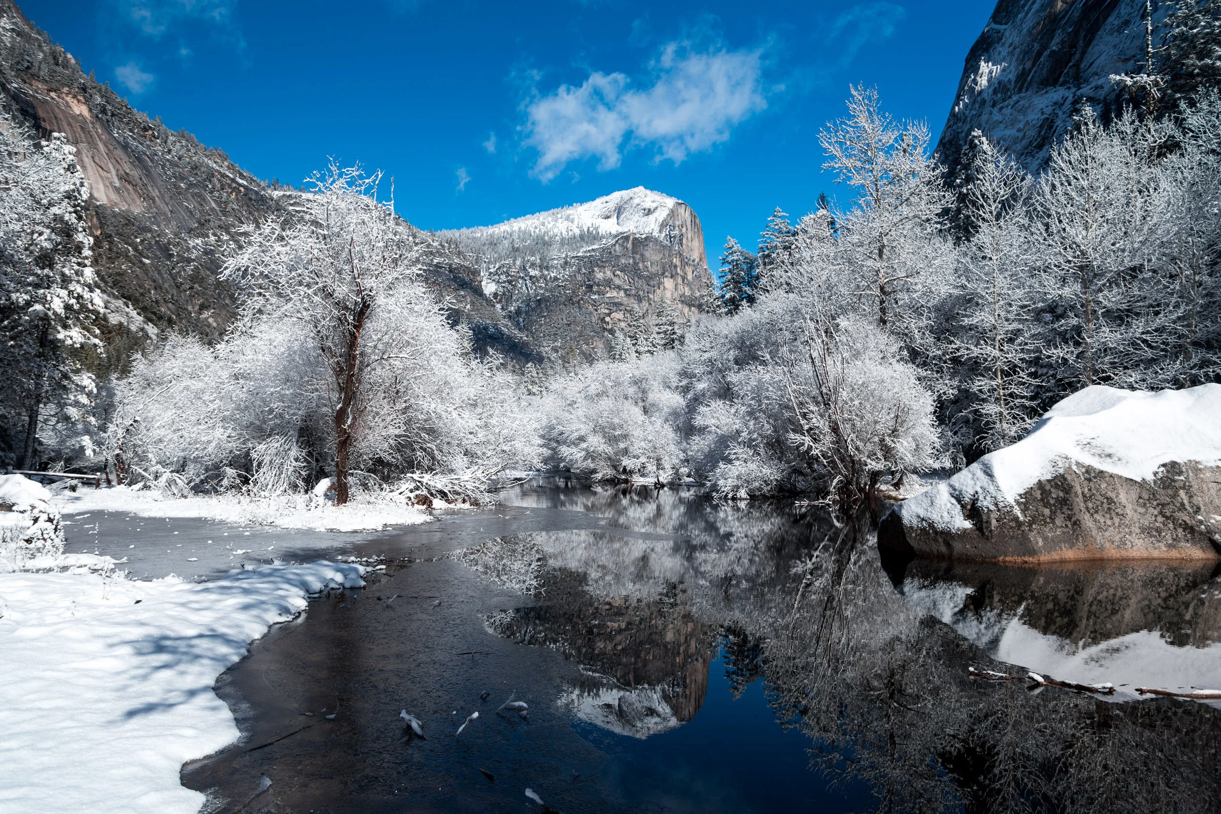 Frozen