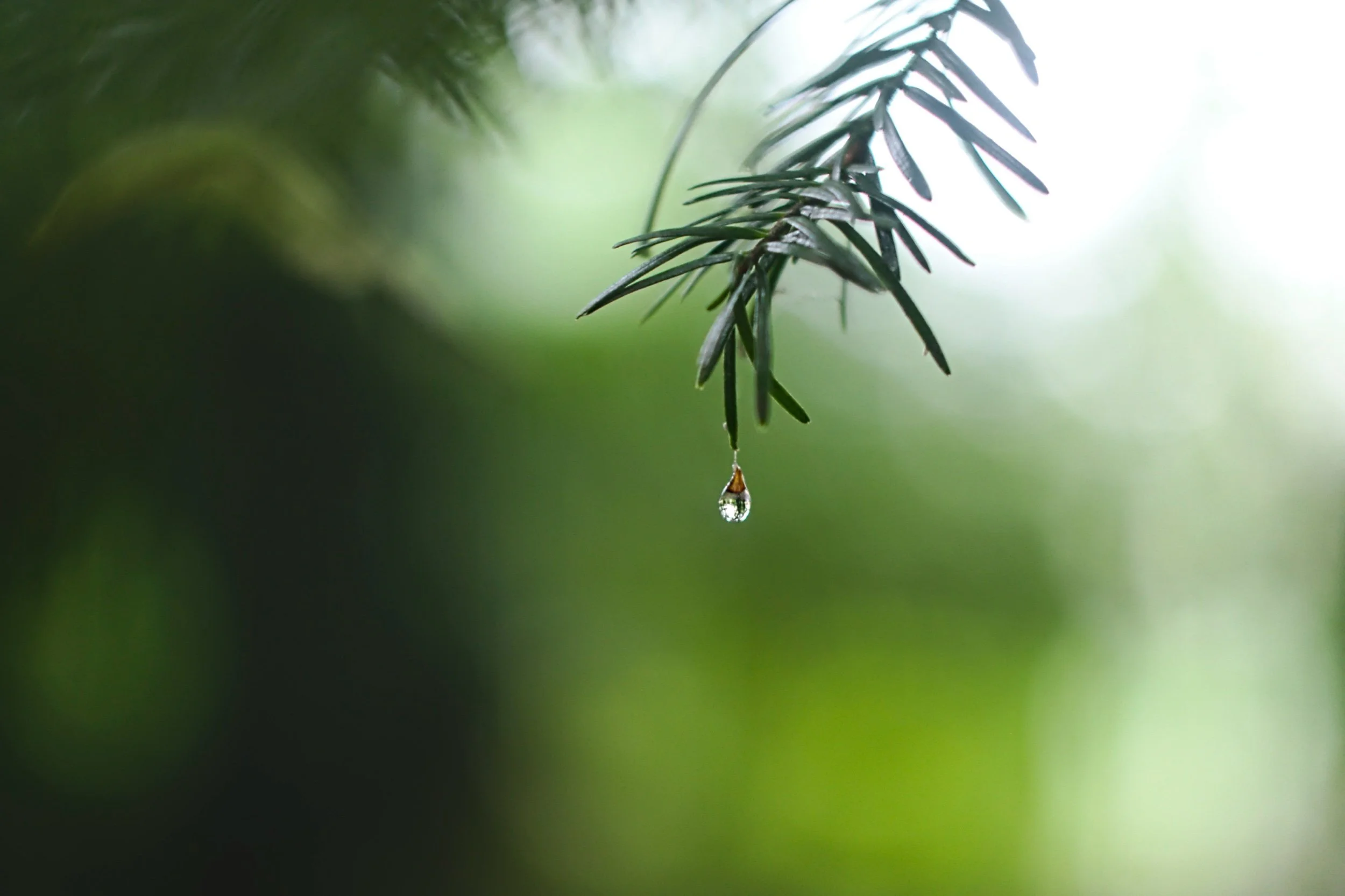 Embracing the slow drip of change