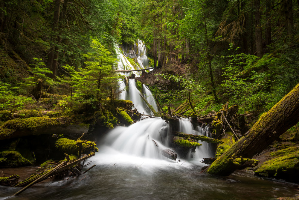 Panther Creek Falls