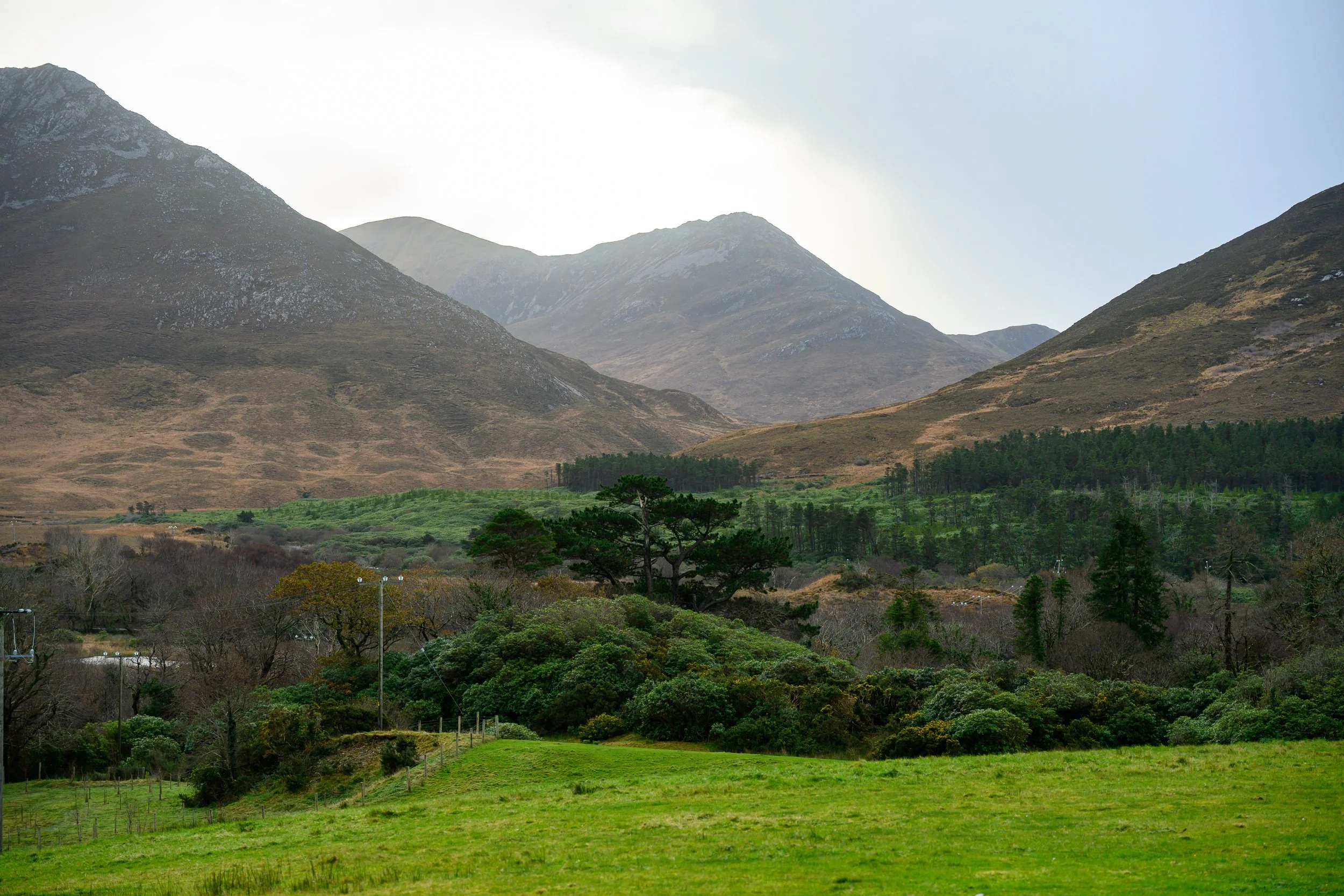 DSC_6797.jpg