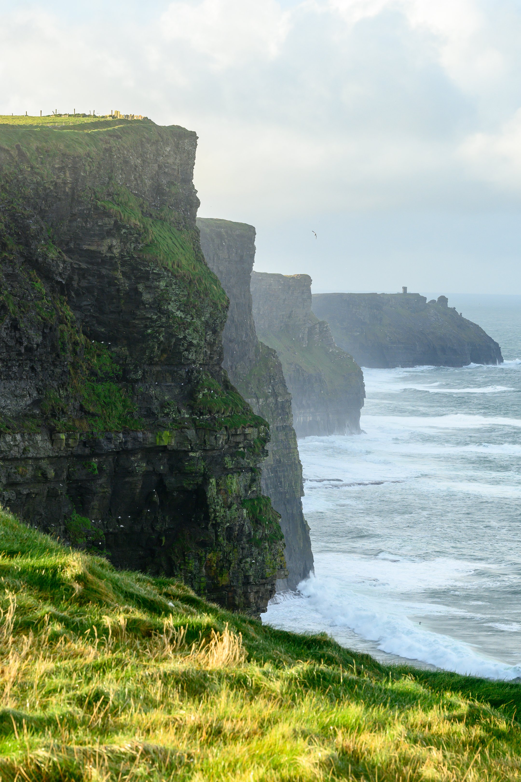 DSC_7080.jpg