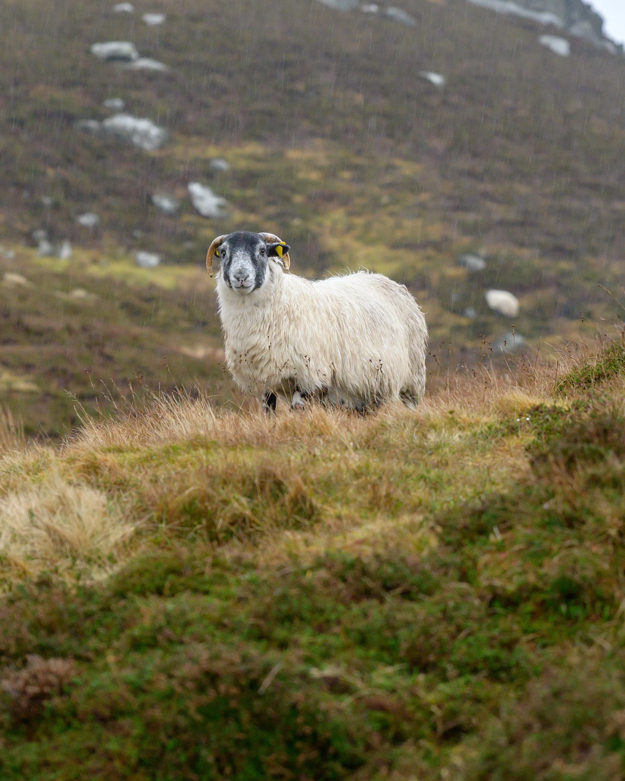 DSC_6740.jpg