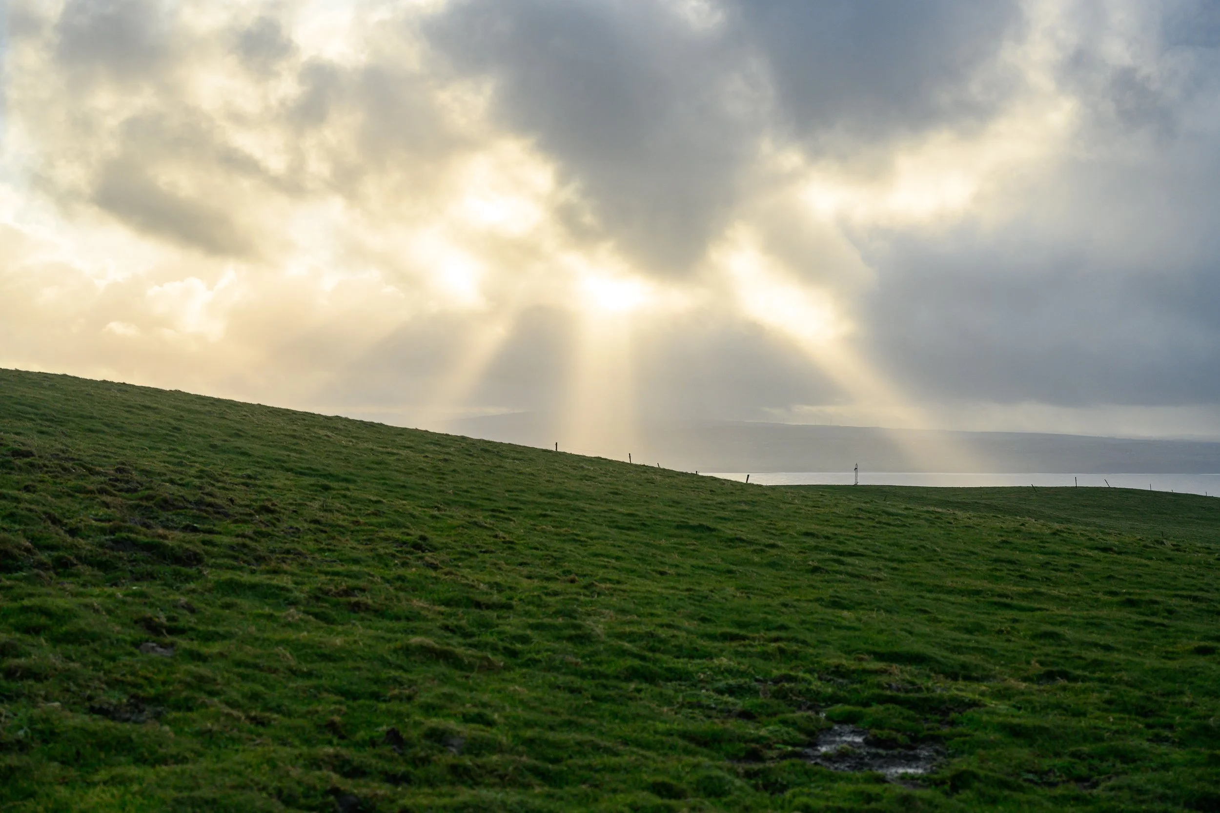 DSC_7023.jpg