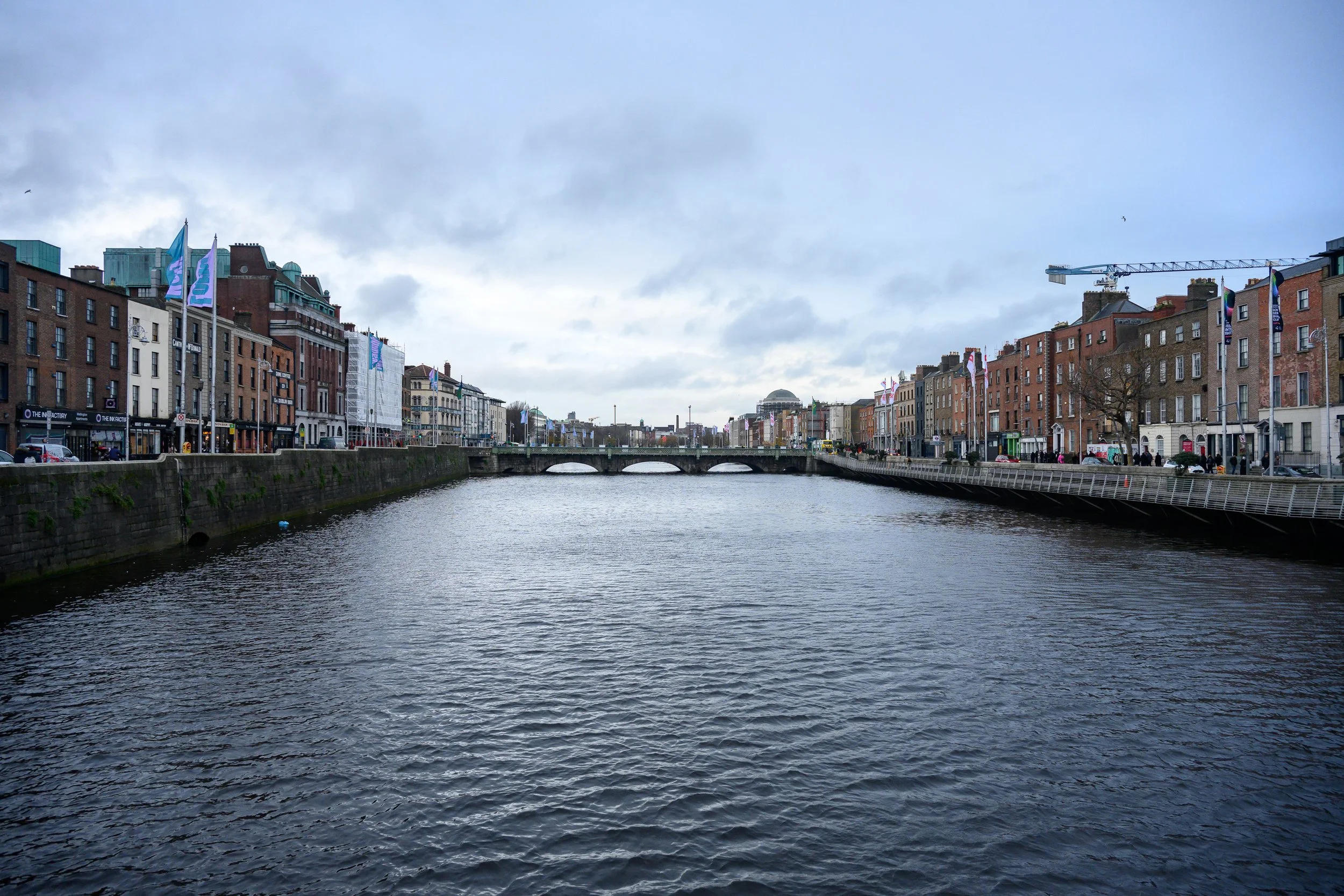 DSC_7302.jpg