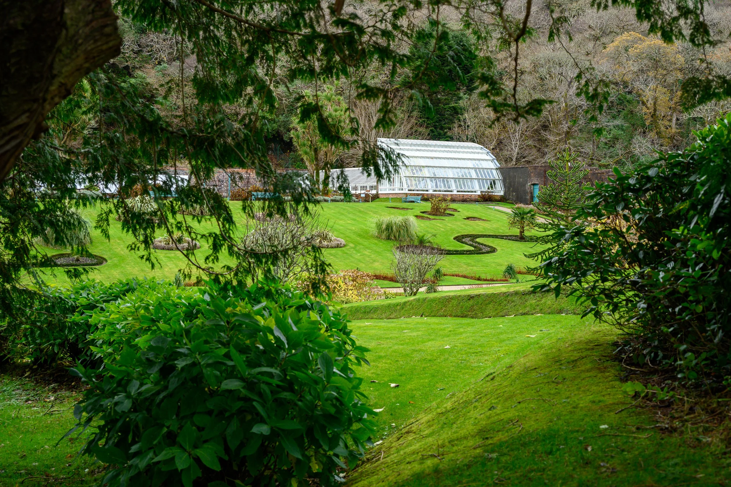 DSC_6774.jpg