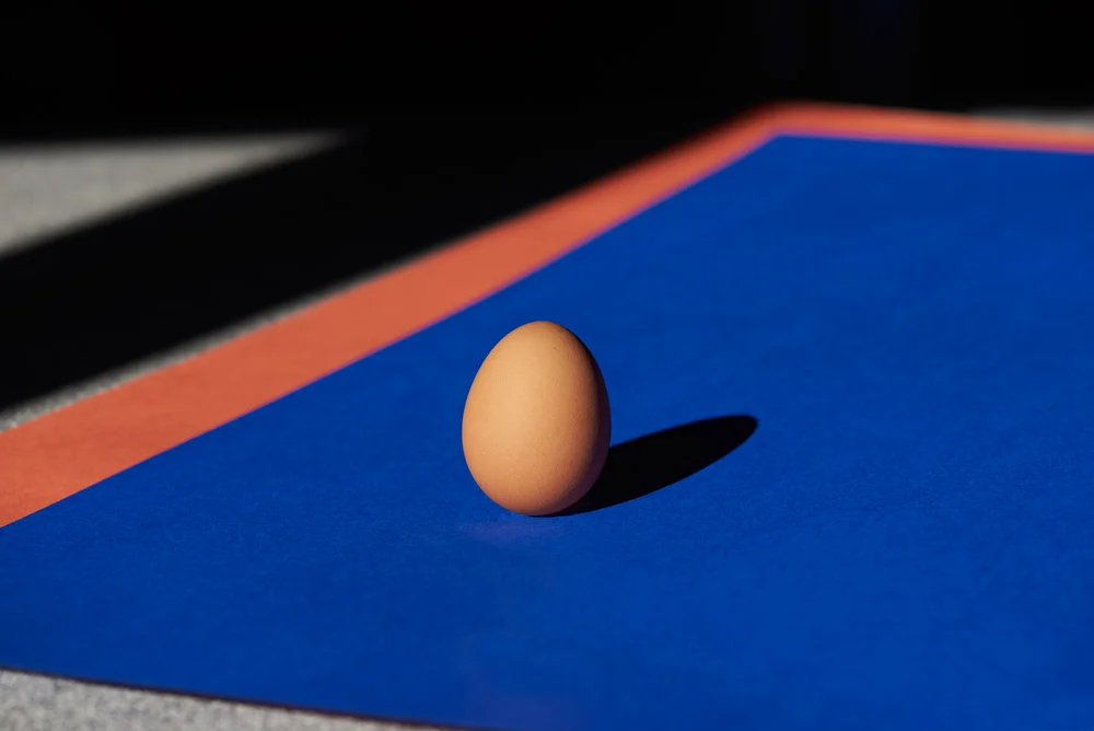 egg-life.jpg
