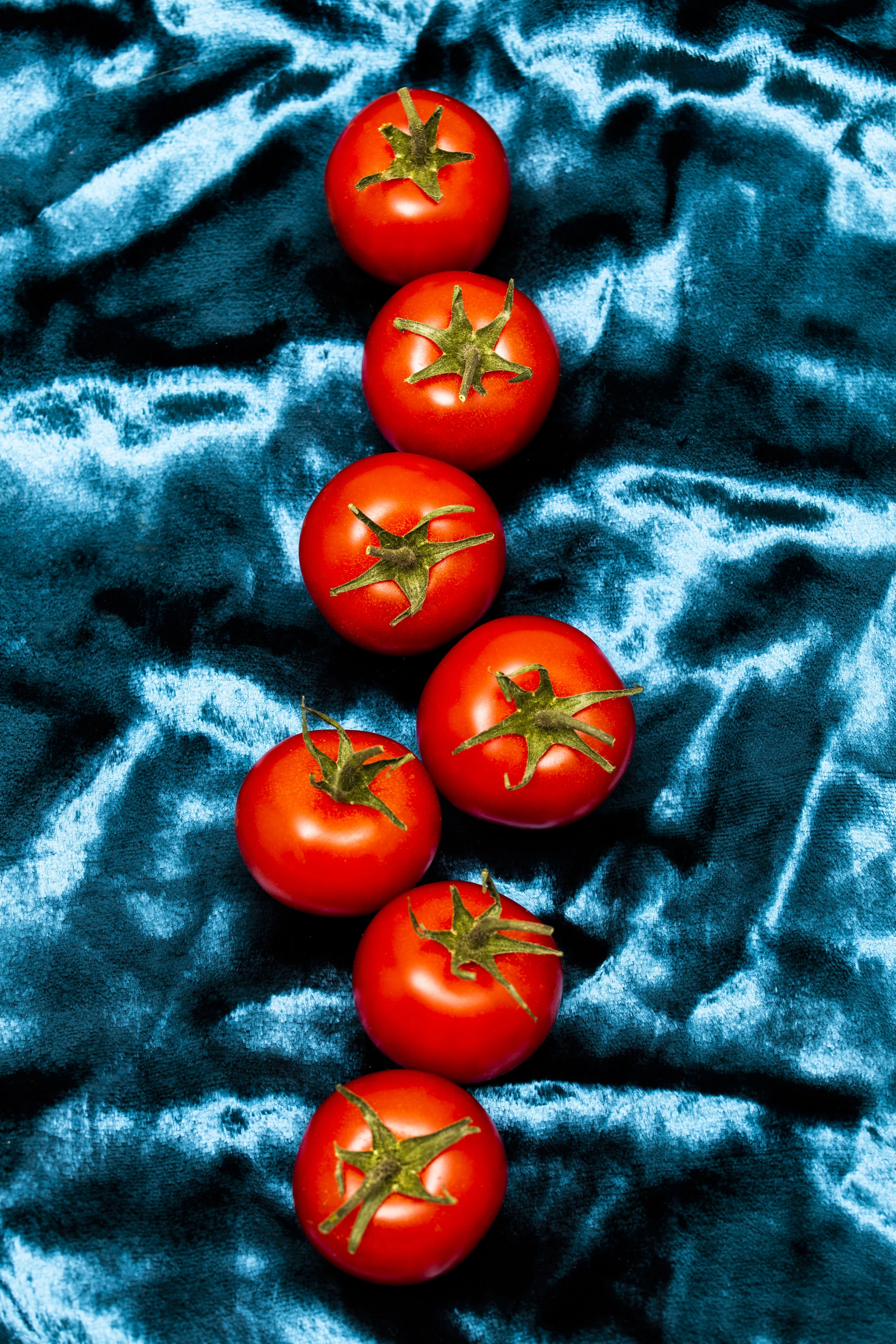 Food_contrast-2.jpg