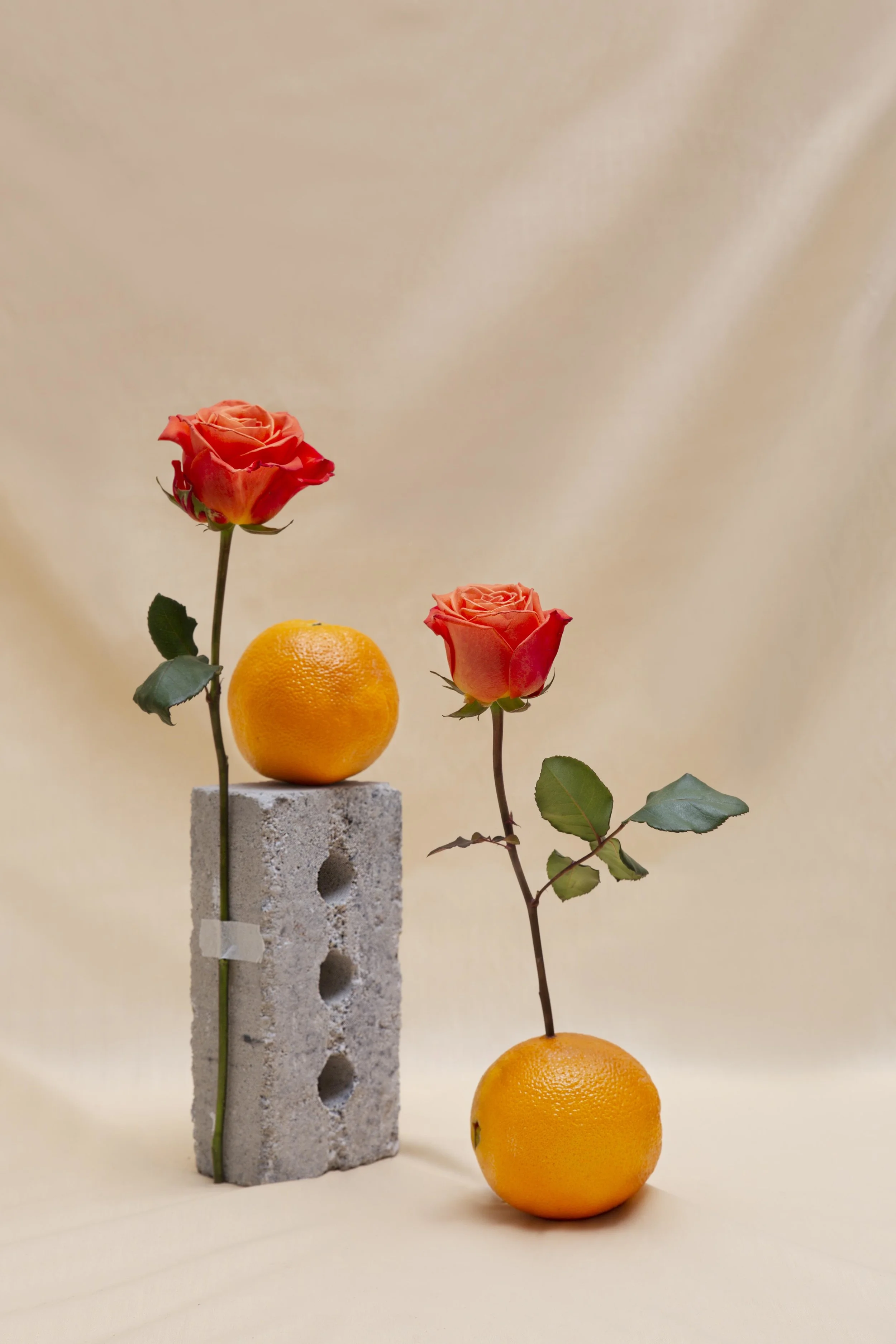 Fruits&Flowers-4web.jpg